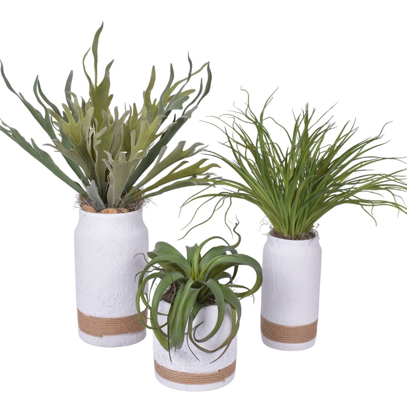 Nash Pot Trio with Airplants and Ferns AR1772