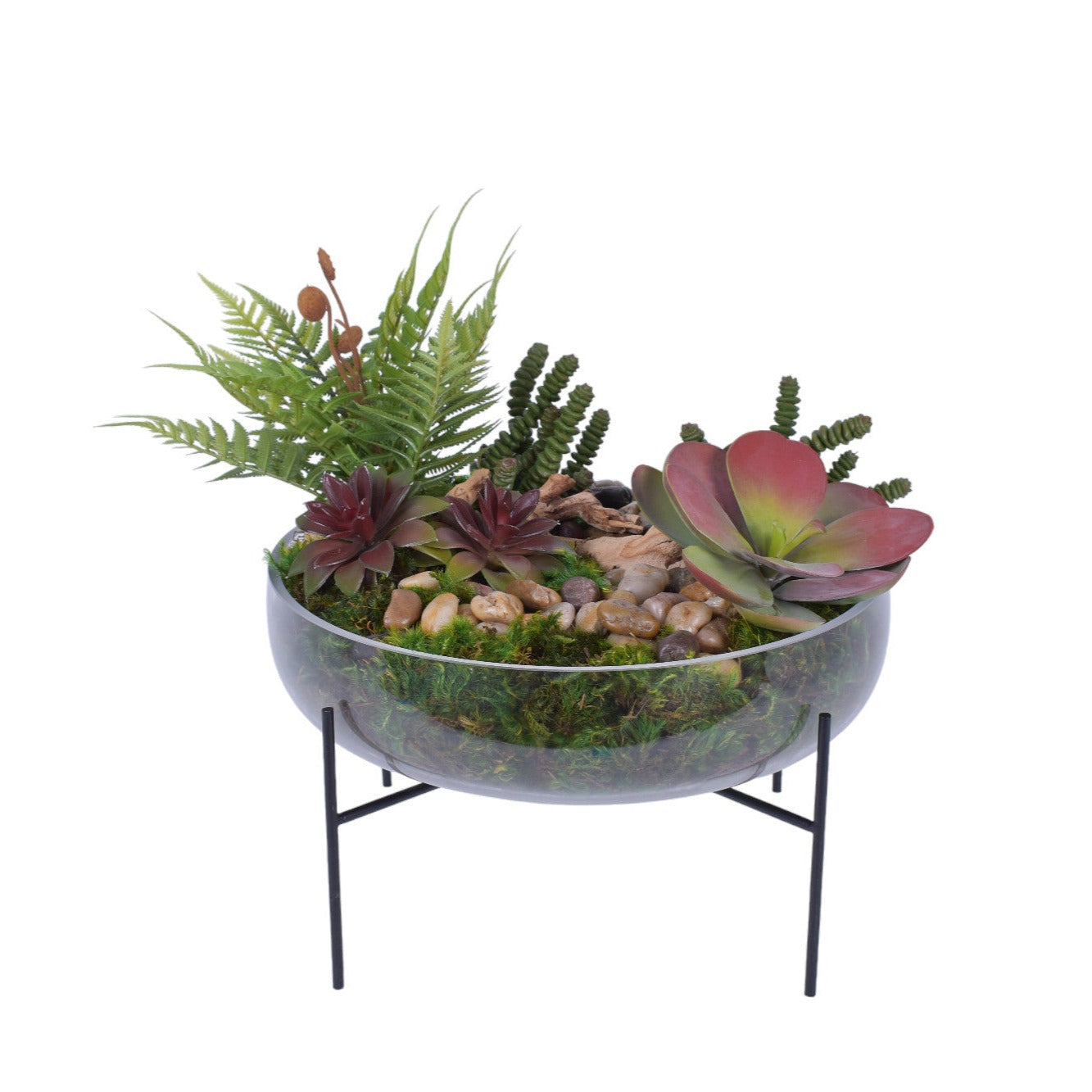 13.5" Sadie Bowl with Succulent Arrangement   AR1773