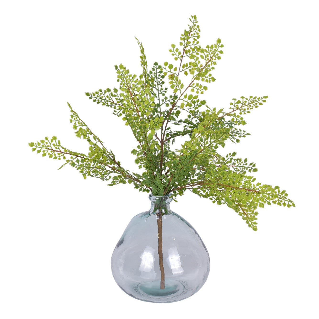 9" San Miguel Jug with Fern  AR1783