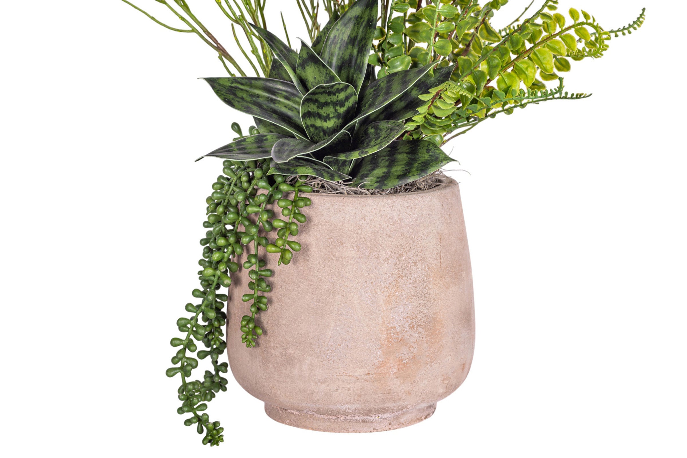 7" Dante Pot with Succulent Arrangement