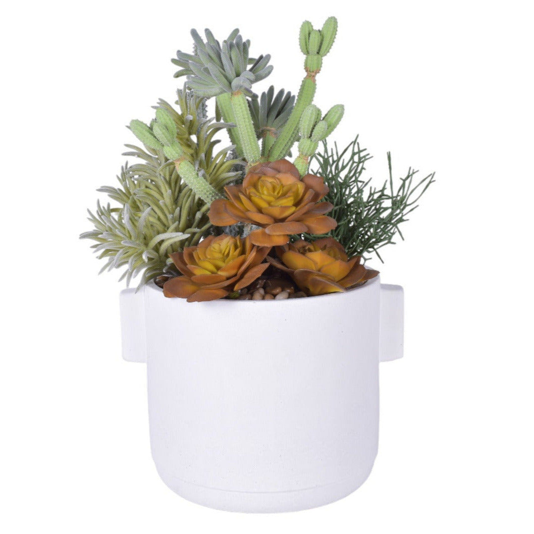 7" Watson Pot with Cactus Arrangement AR1798