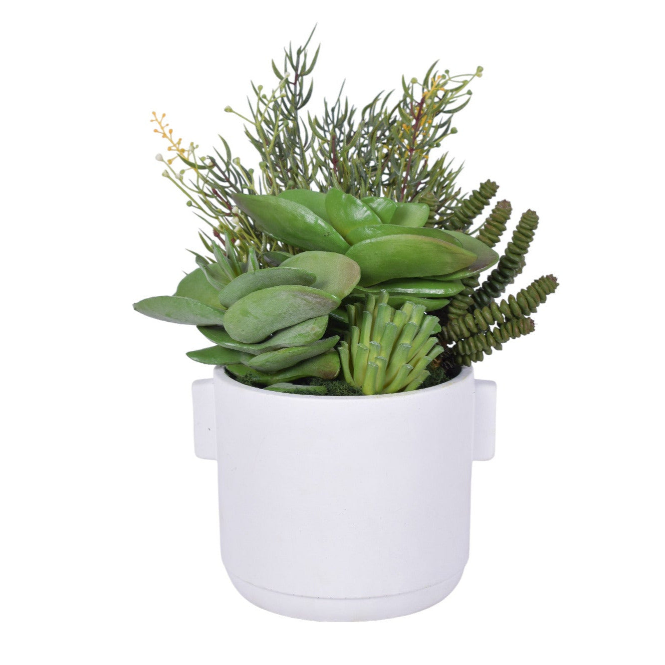 6" Watson Pot with Succulent Arrangement AR1800