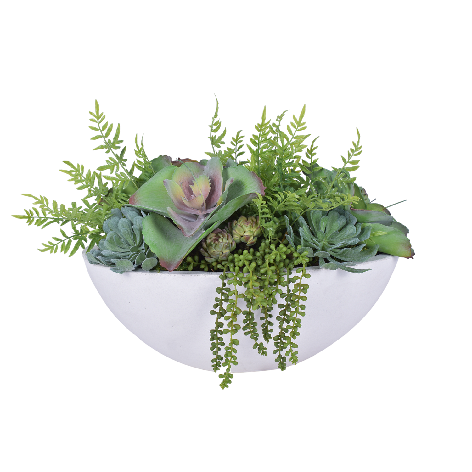 white succulent bowl Large White Oval Bowl with UV Treated Succulent Arrangement AR1802UV