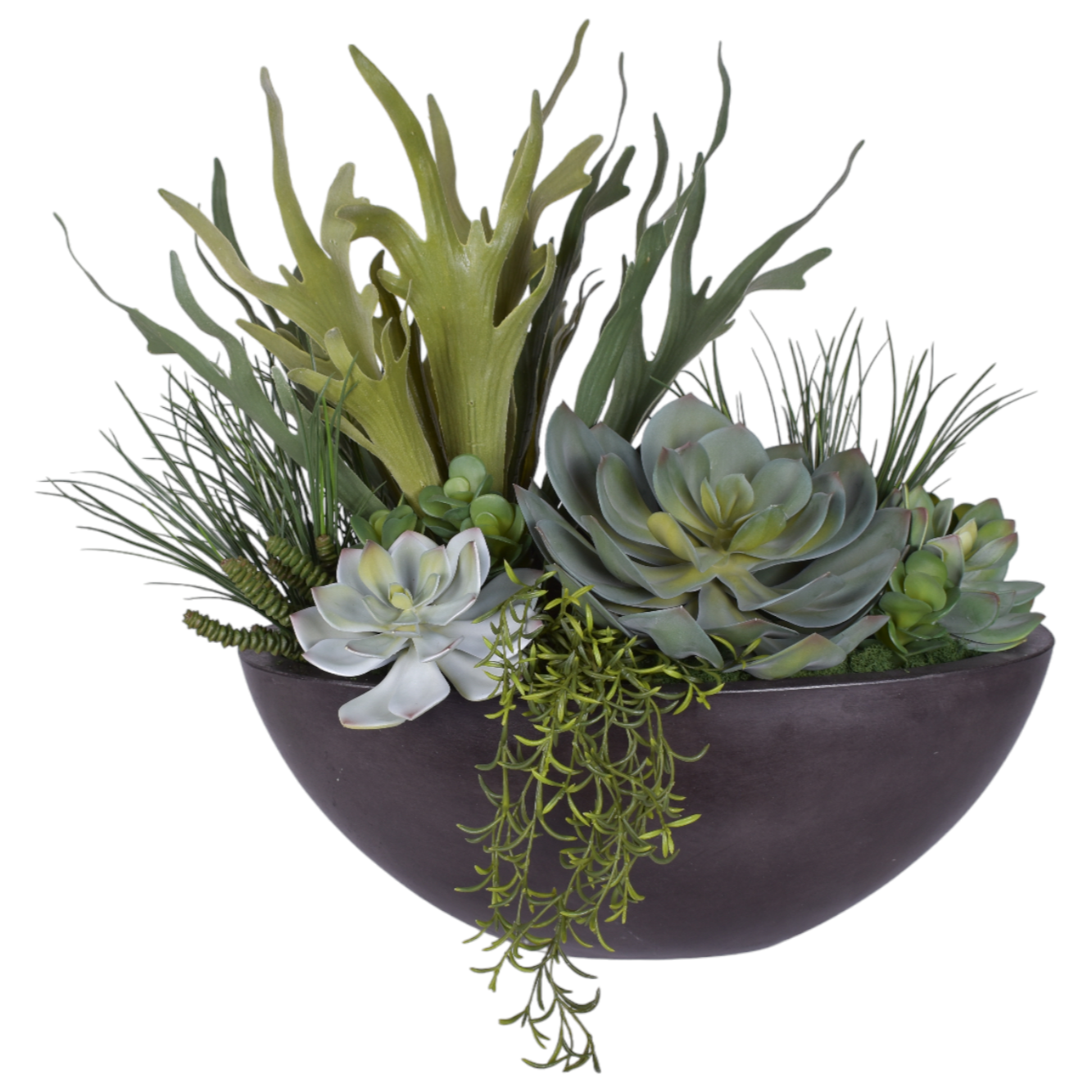 Large Oval Bowl with UV Protected Succulent Arrangement AR1805UV
