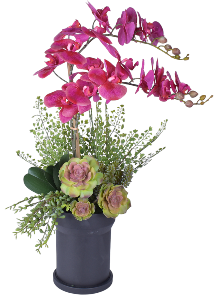8" Black Rook Pot with Orchid Arrangement AR1808