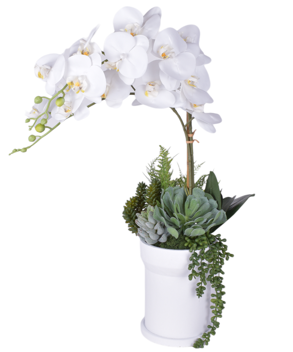 8" White Rook Pot with Orchid Arrangement AR1809