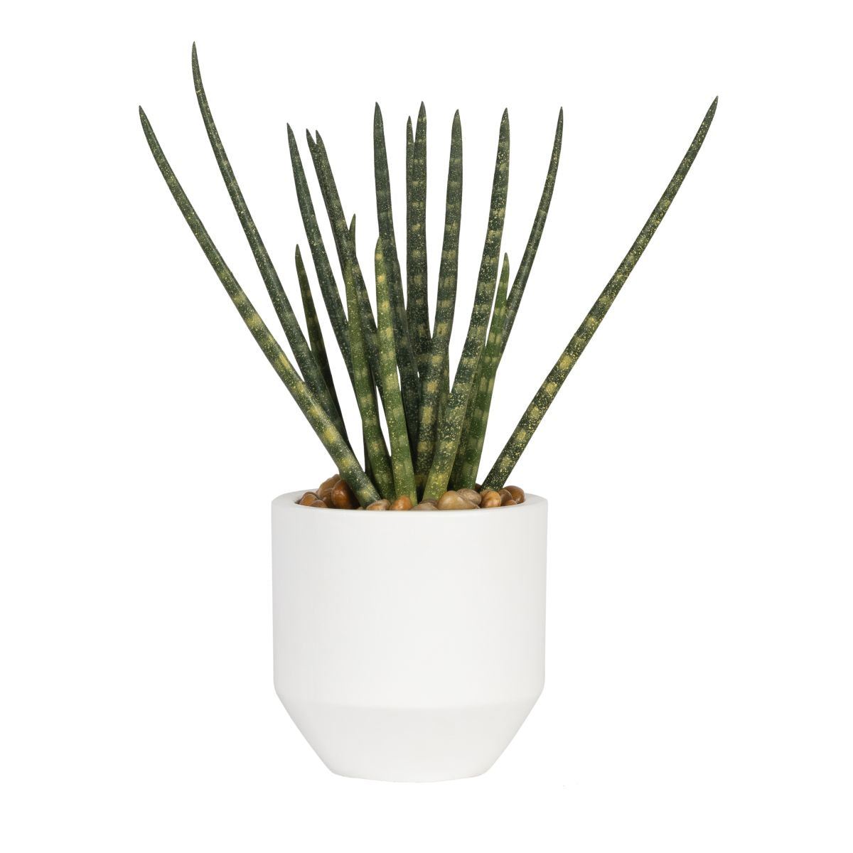 8" Milo Pot with Snake Arrangement AR1814