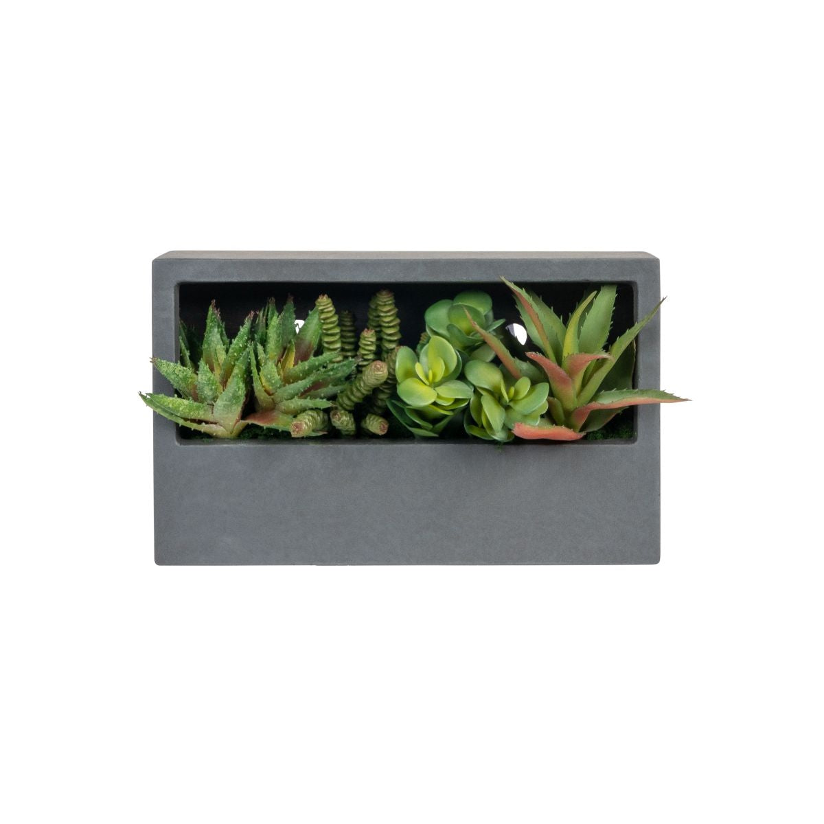 Small Piper Rectangle Wall Hanger with Succulent Arrangement AR1815