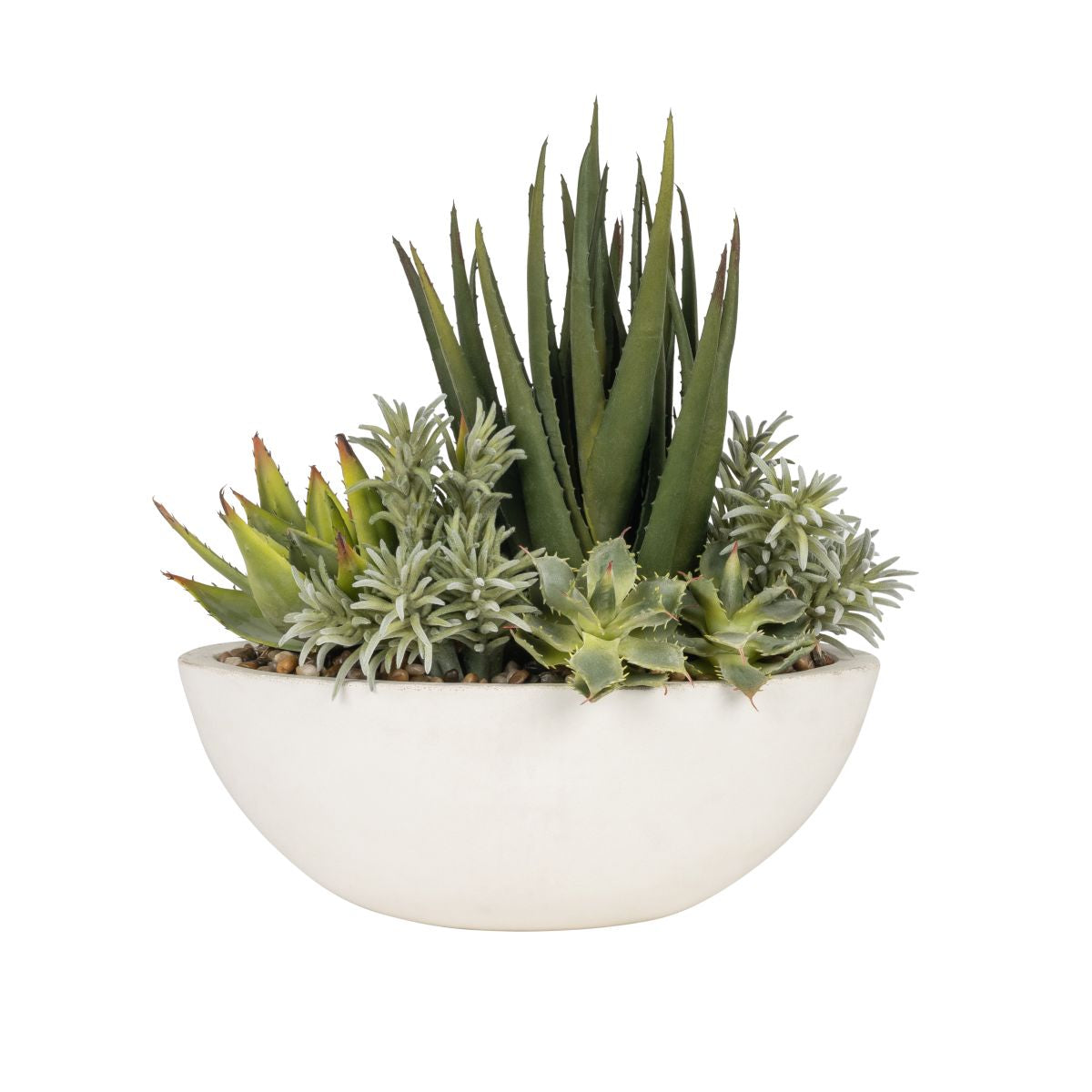 Small Oval Bowl with Aloe and Cactus Arrangement AR1833