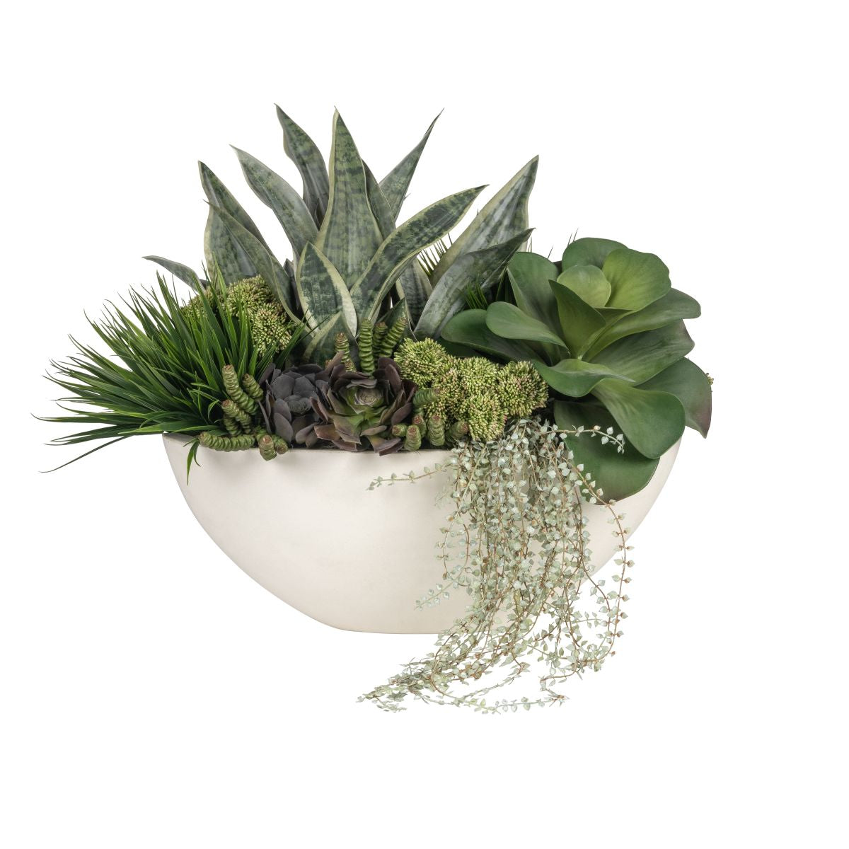 Large Oval Bowl with Snake Plant and Succulent Arrangement AR1835