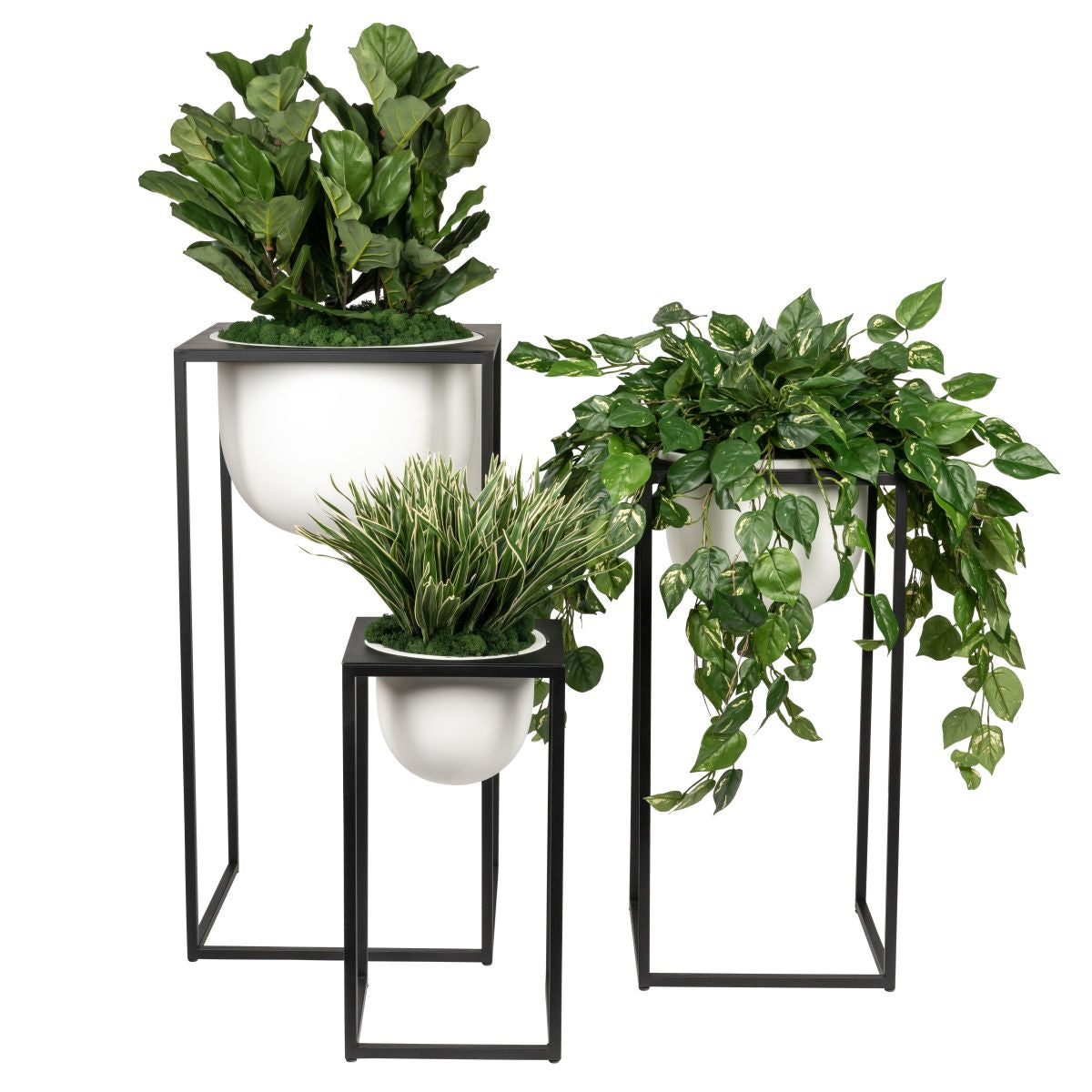 Trio of White Well Planters with Greenery AR1867