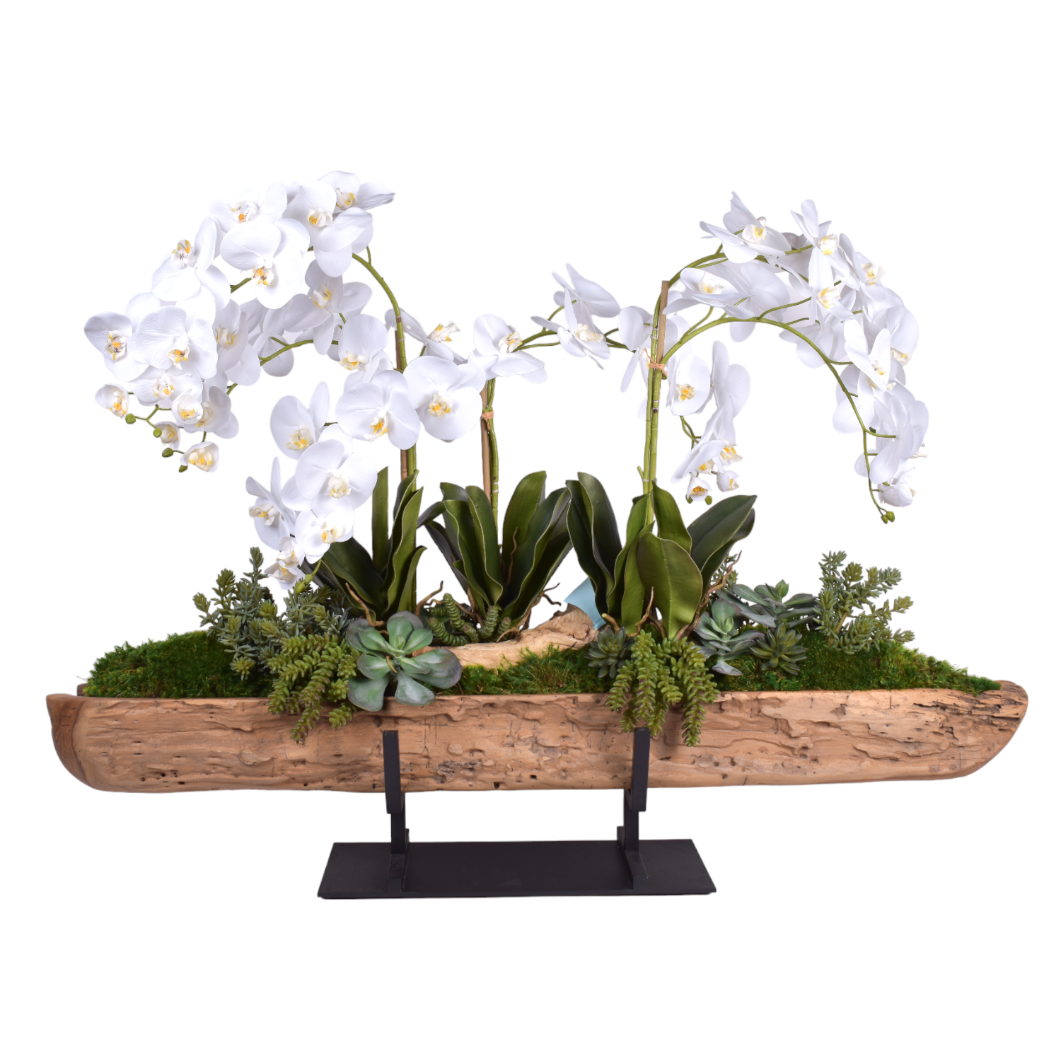 Tanduk Planter with Orchid Arrangement AR1869
