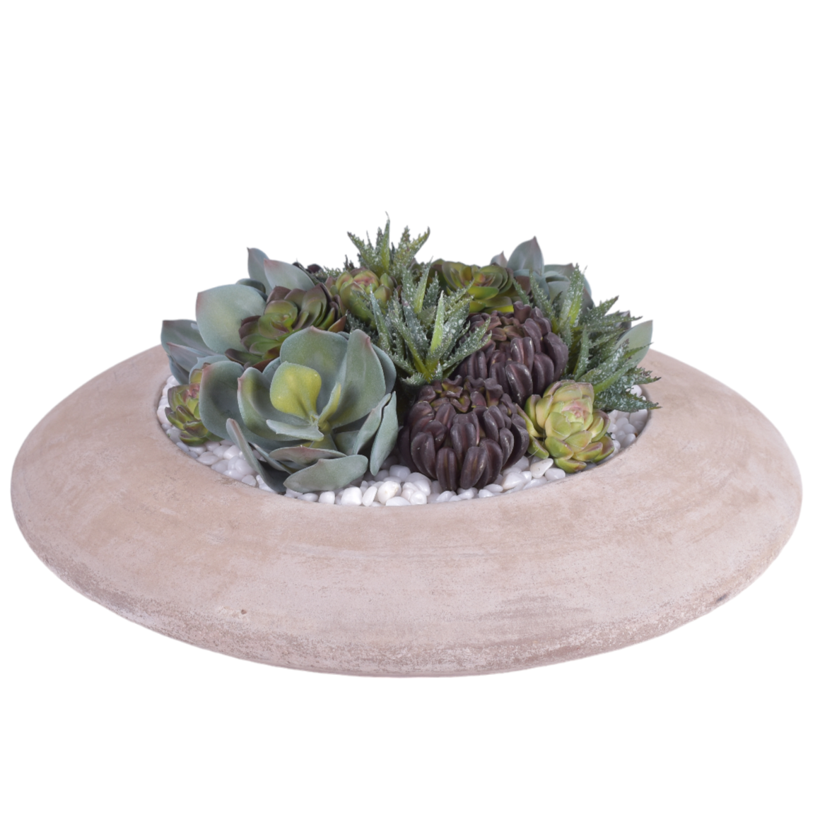 Large Flying Saucer Bowl with UV Protected Succulent Arrangement AR1874