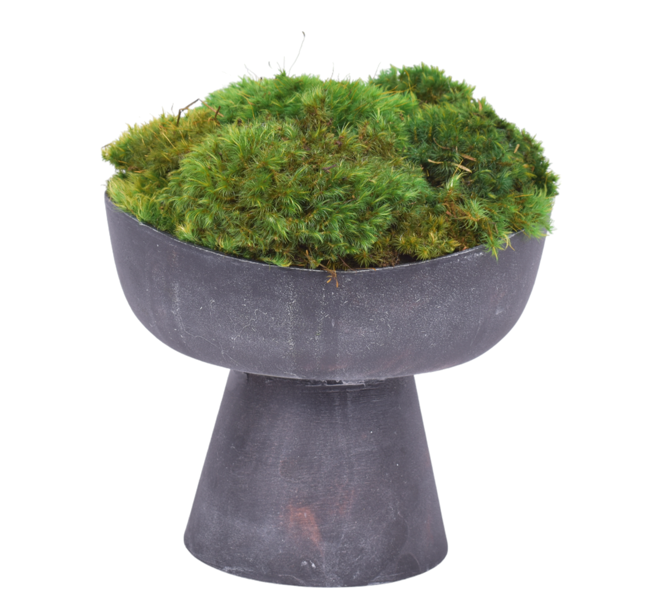 Antique Black Sophia Pot with Mounded Mood Moss AR1876