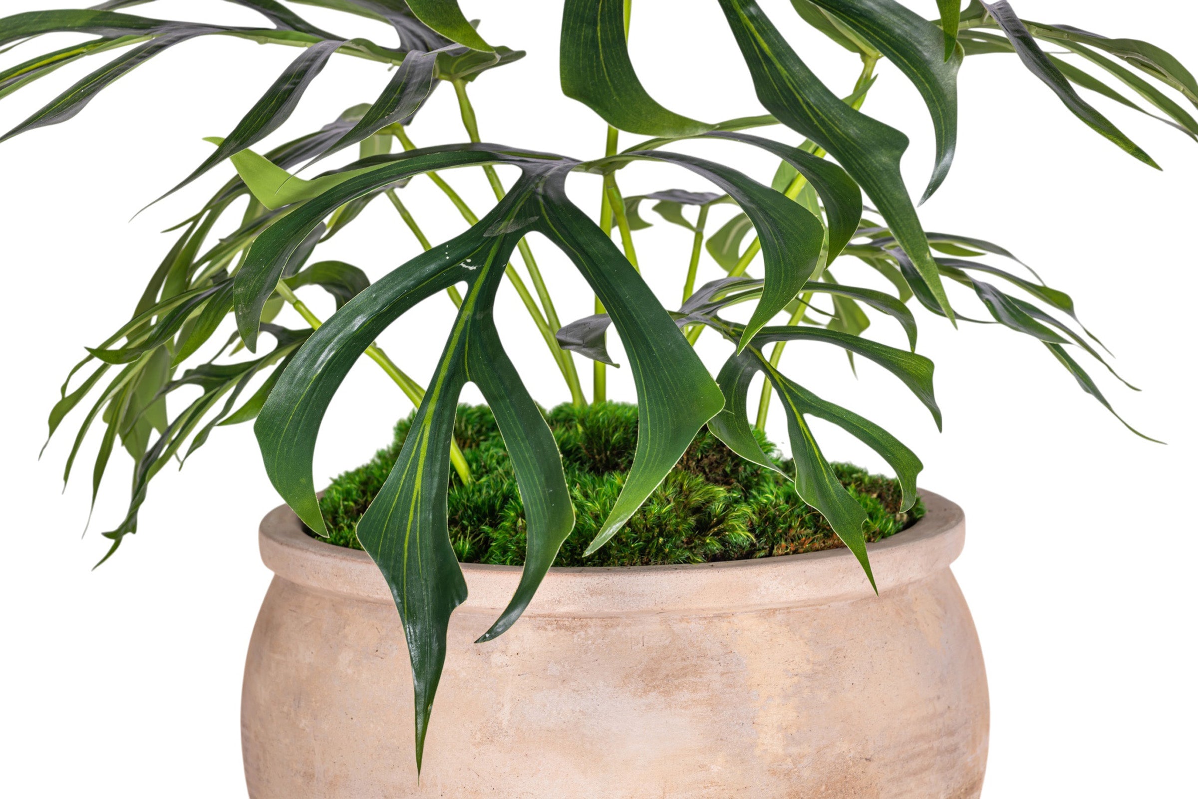 15" Jeune Bowl with Palm Arrangement AR1886