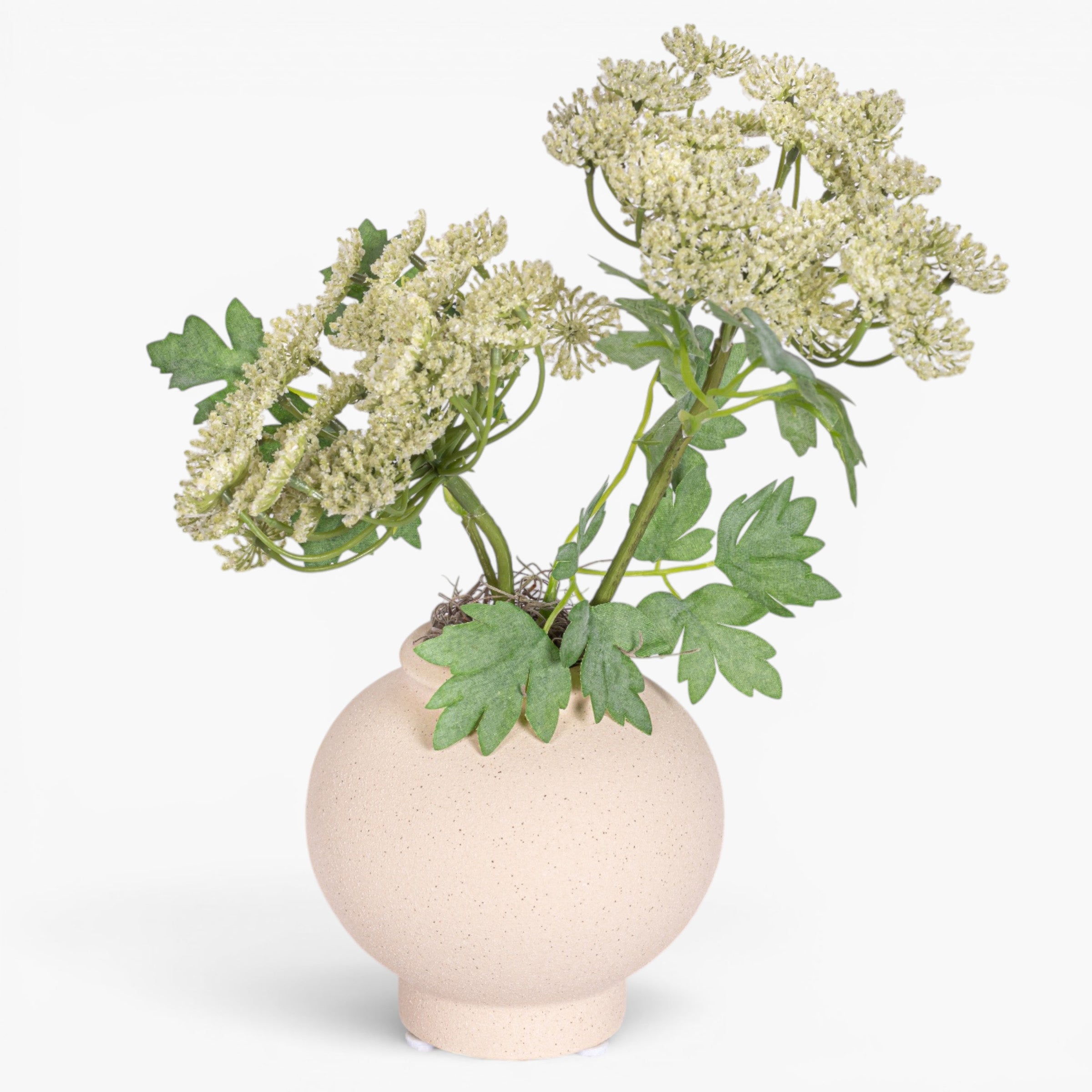 4.25" Stuart Bud Vase with Queen Anne's Lace AR1904