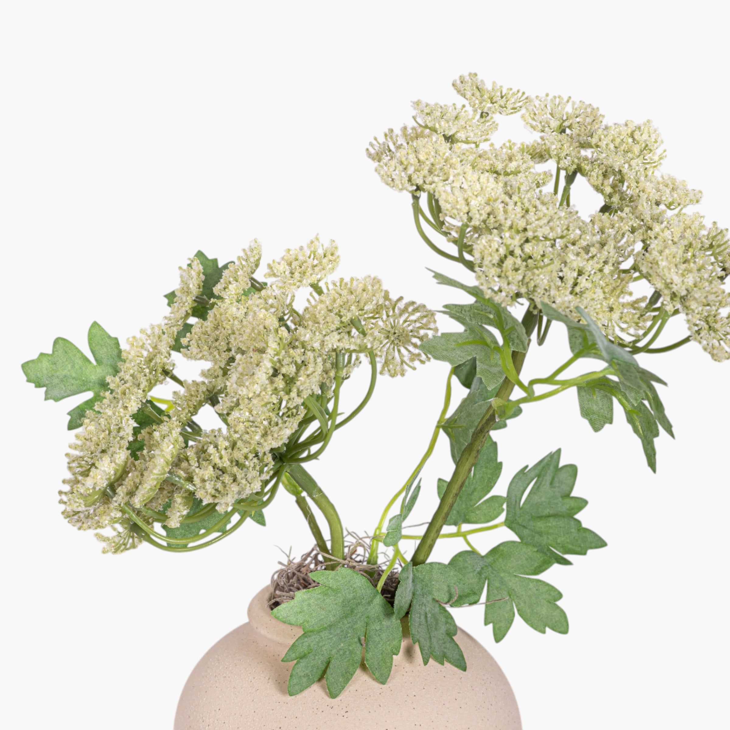 4.25" Stuart Bud Vase with Queen Anne's Lace AR1904