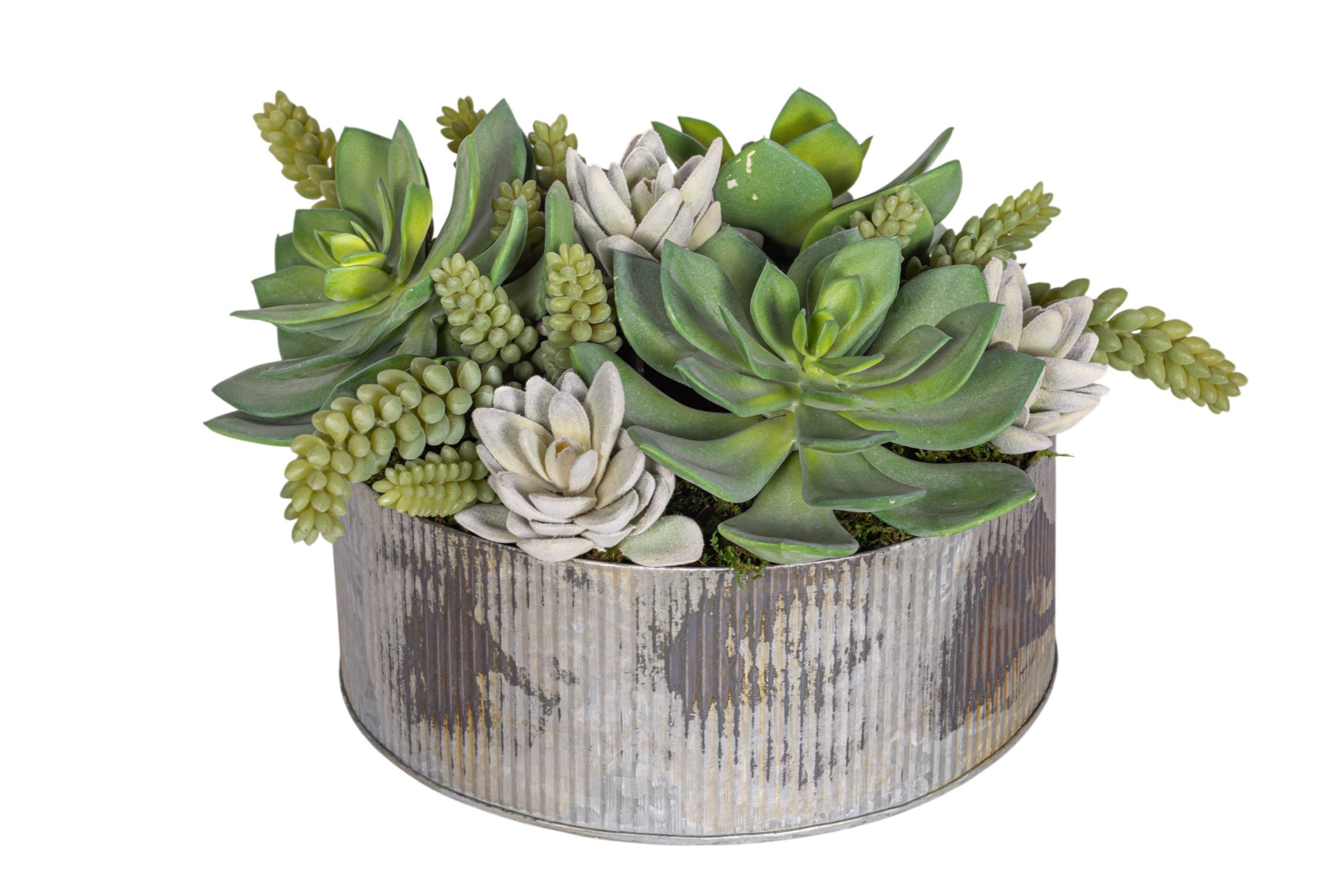 17" Rusty Galvanized Bowl with Mixed Succulent Arrangement AR1923