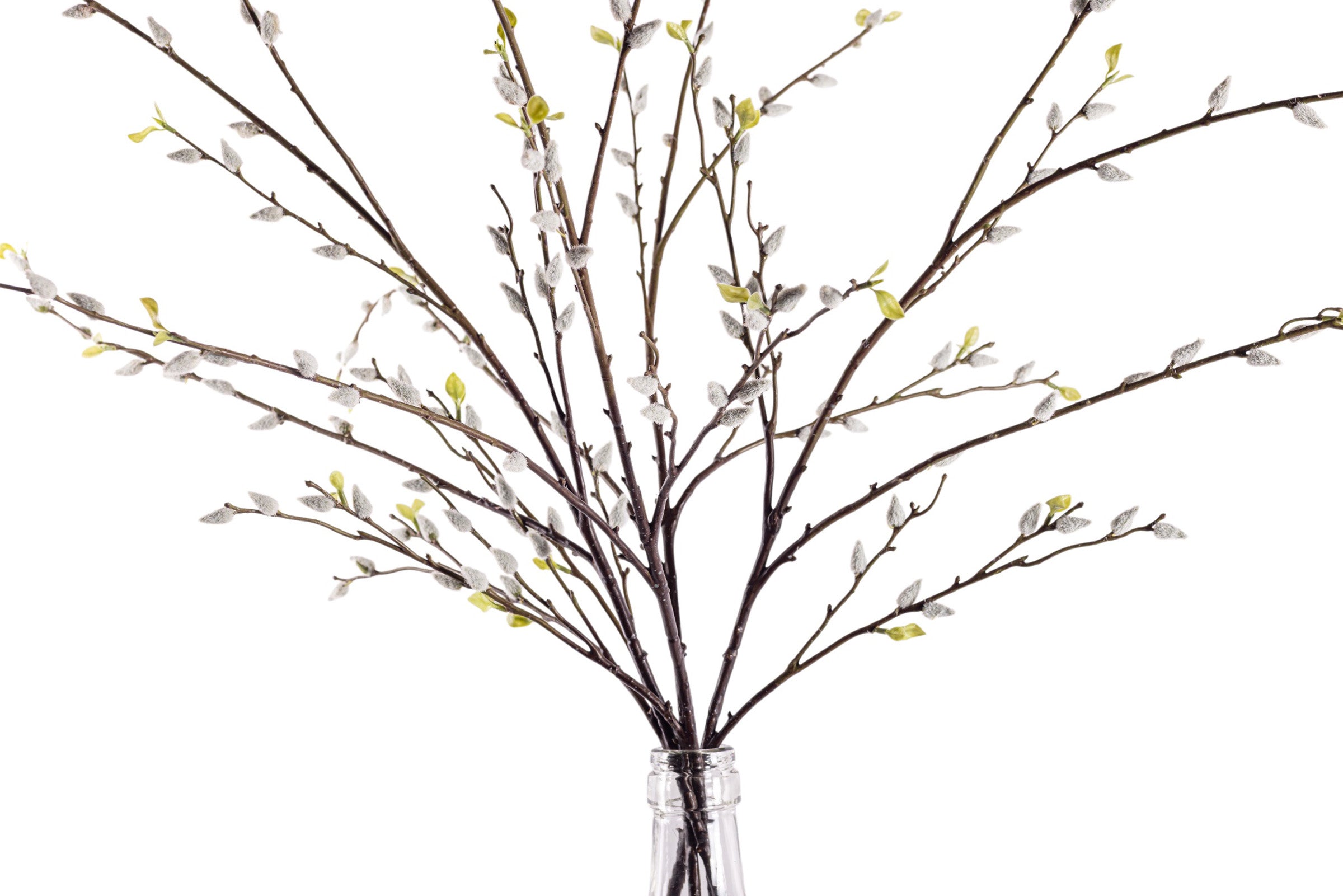 36" Luna Vase with Pussy Willow Arrangement AR1928