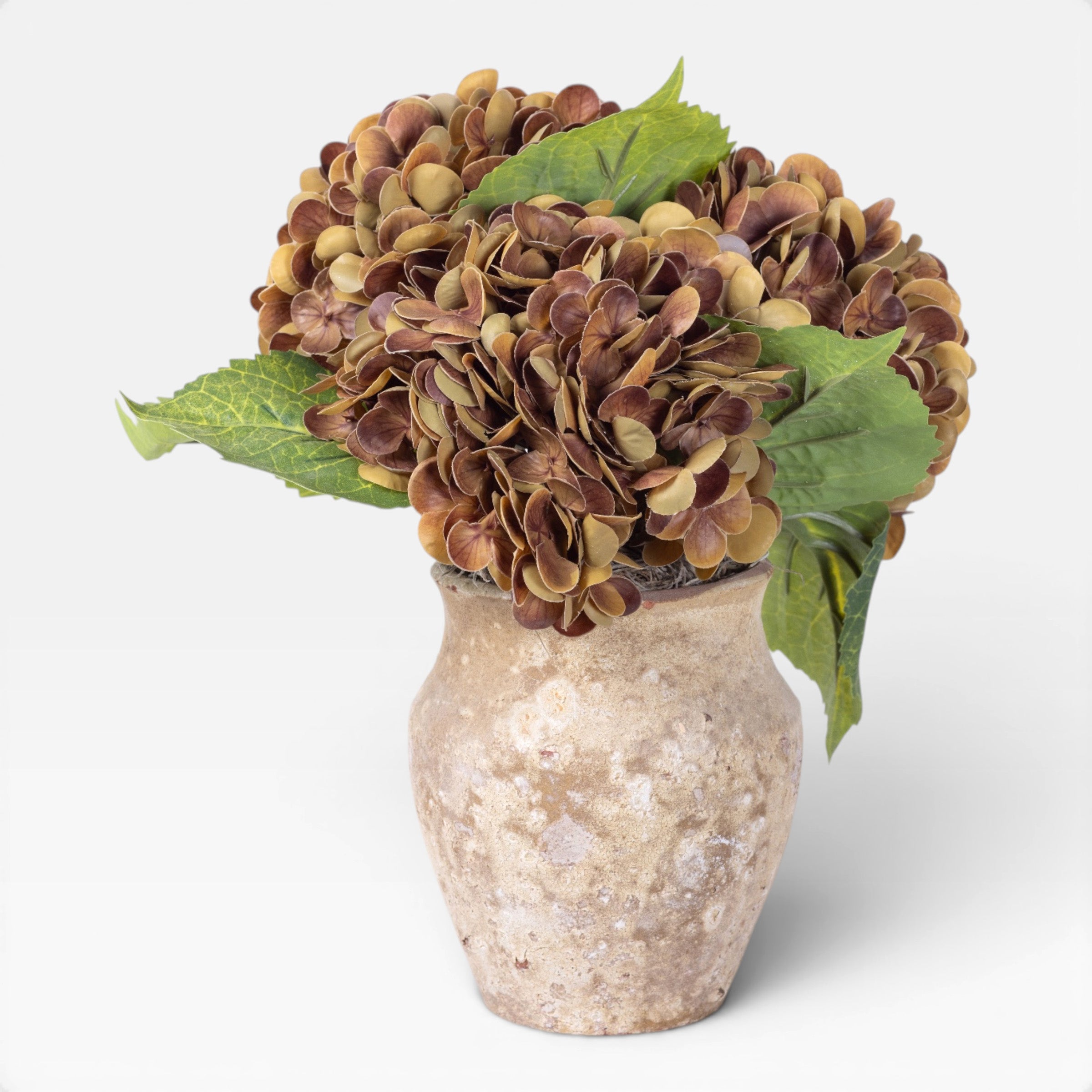 10" Titan Pot with Hydrangea Arrangement AR1946