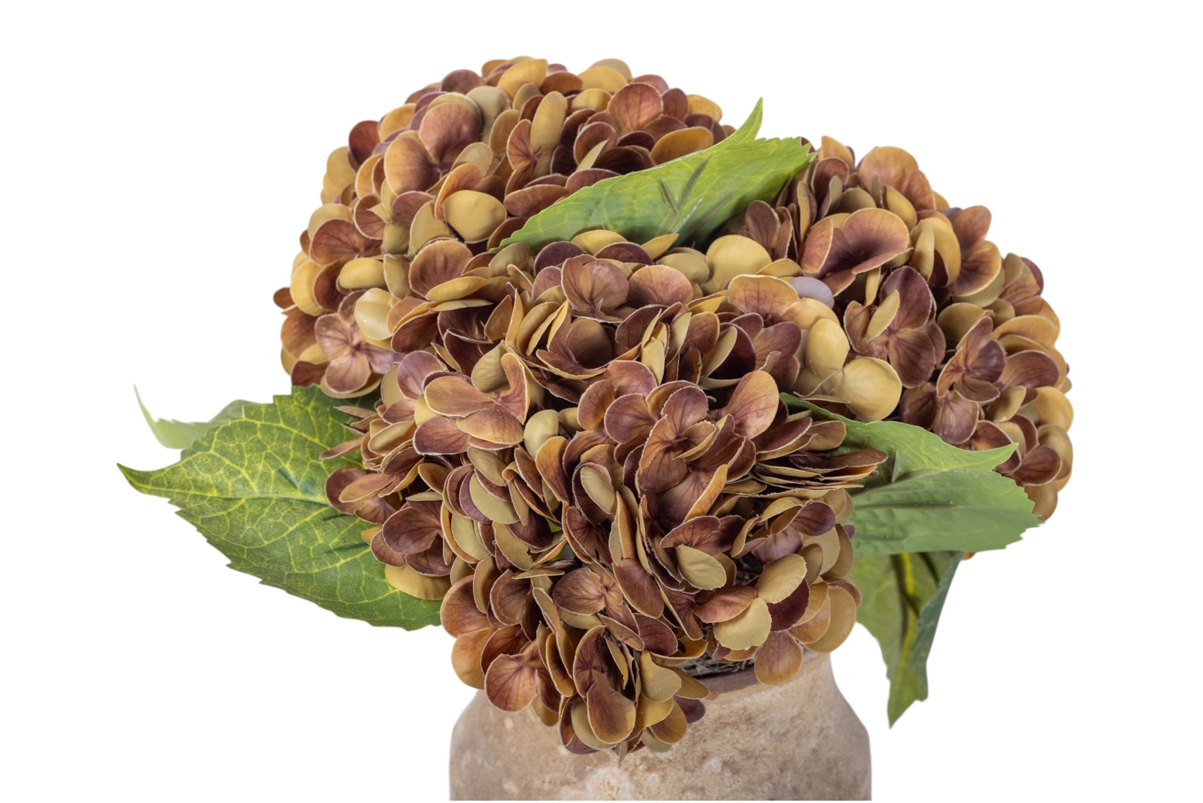 10" Titan Pot with Hydrangea Arrangement AR1946