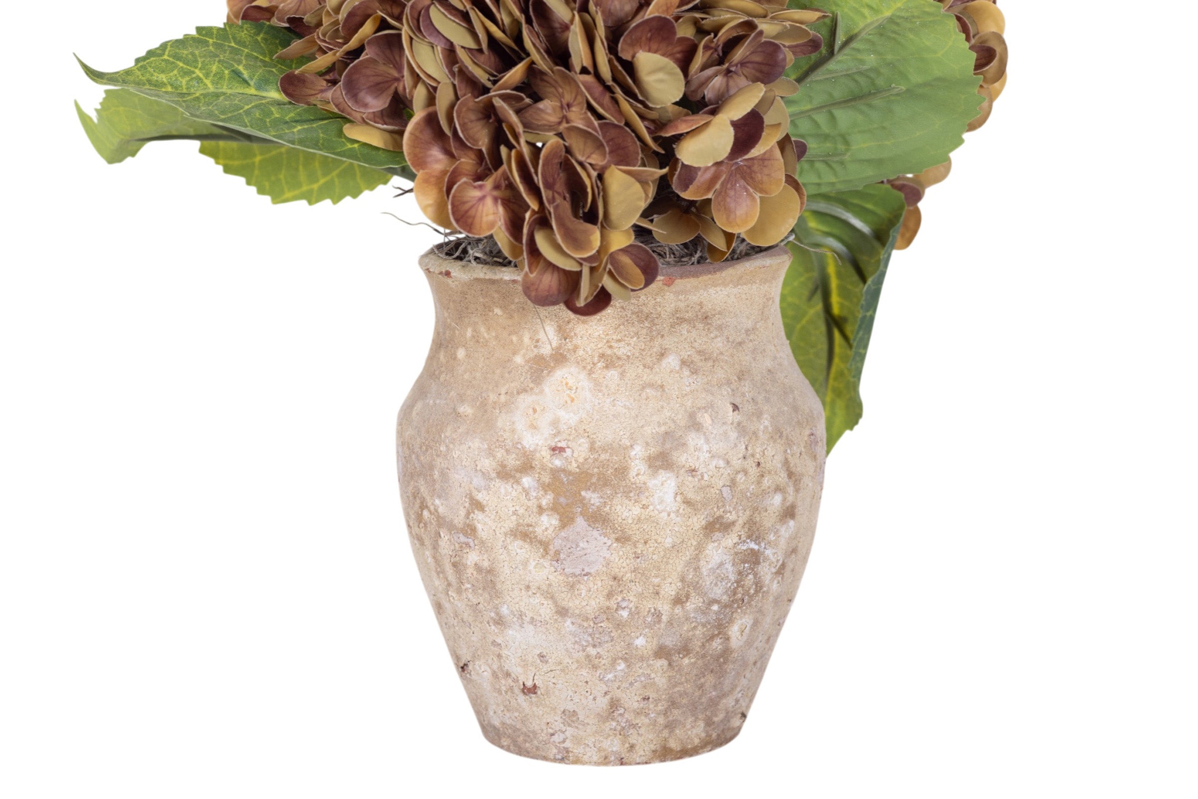 10" Titan Pot with Hydrangea Arrangement AR1946