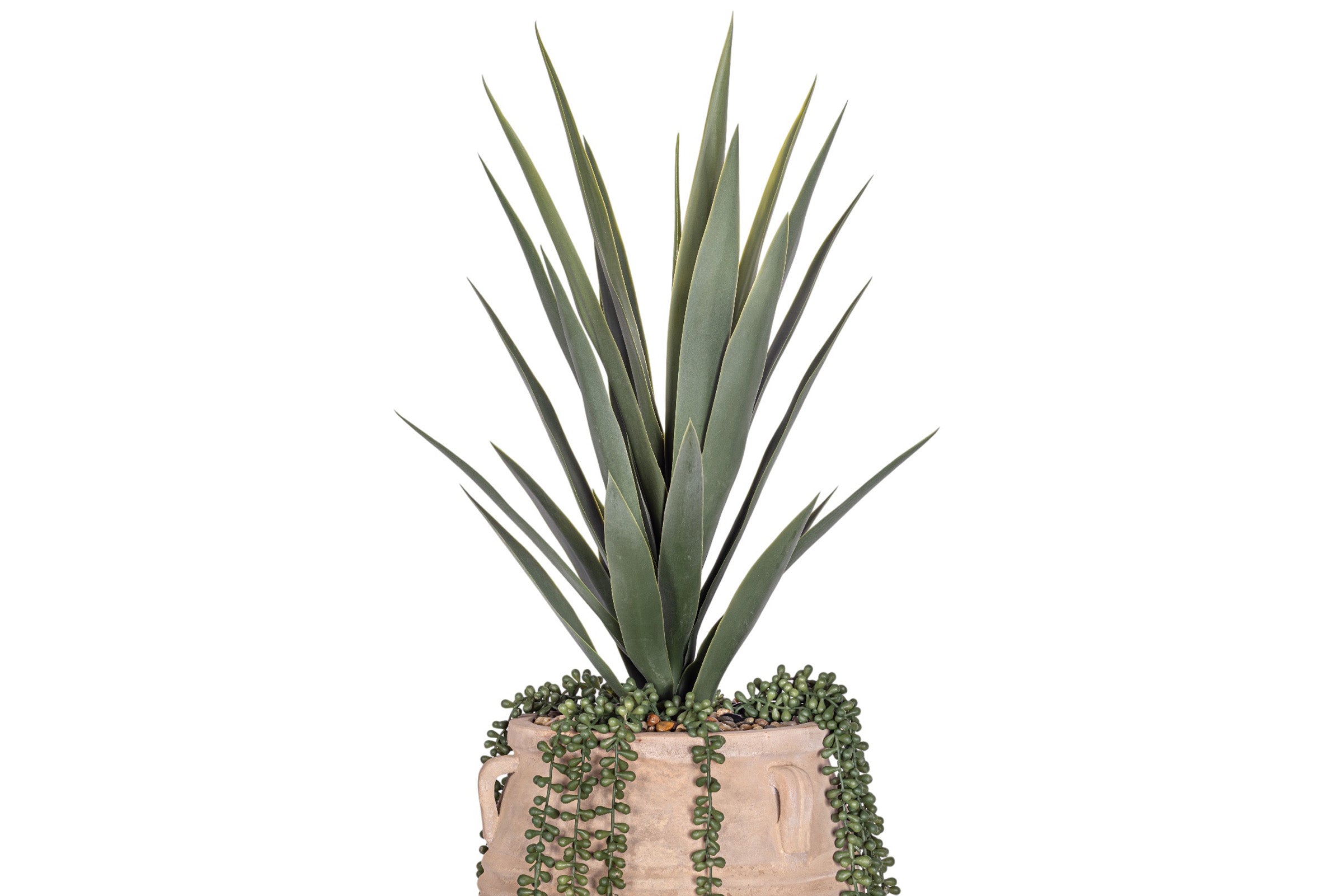 Mossimo Planter with Yucca Arrangement AR1951