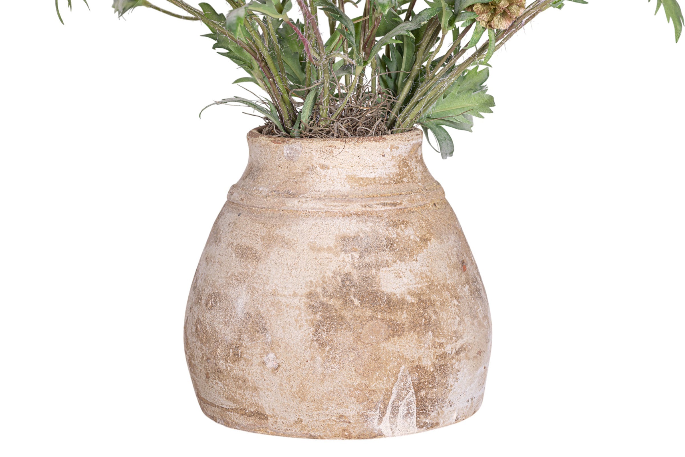 22" Aster Pot with Scabiosa Pod Arrangement AR1956