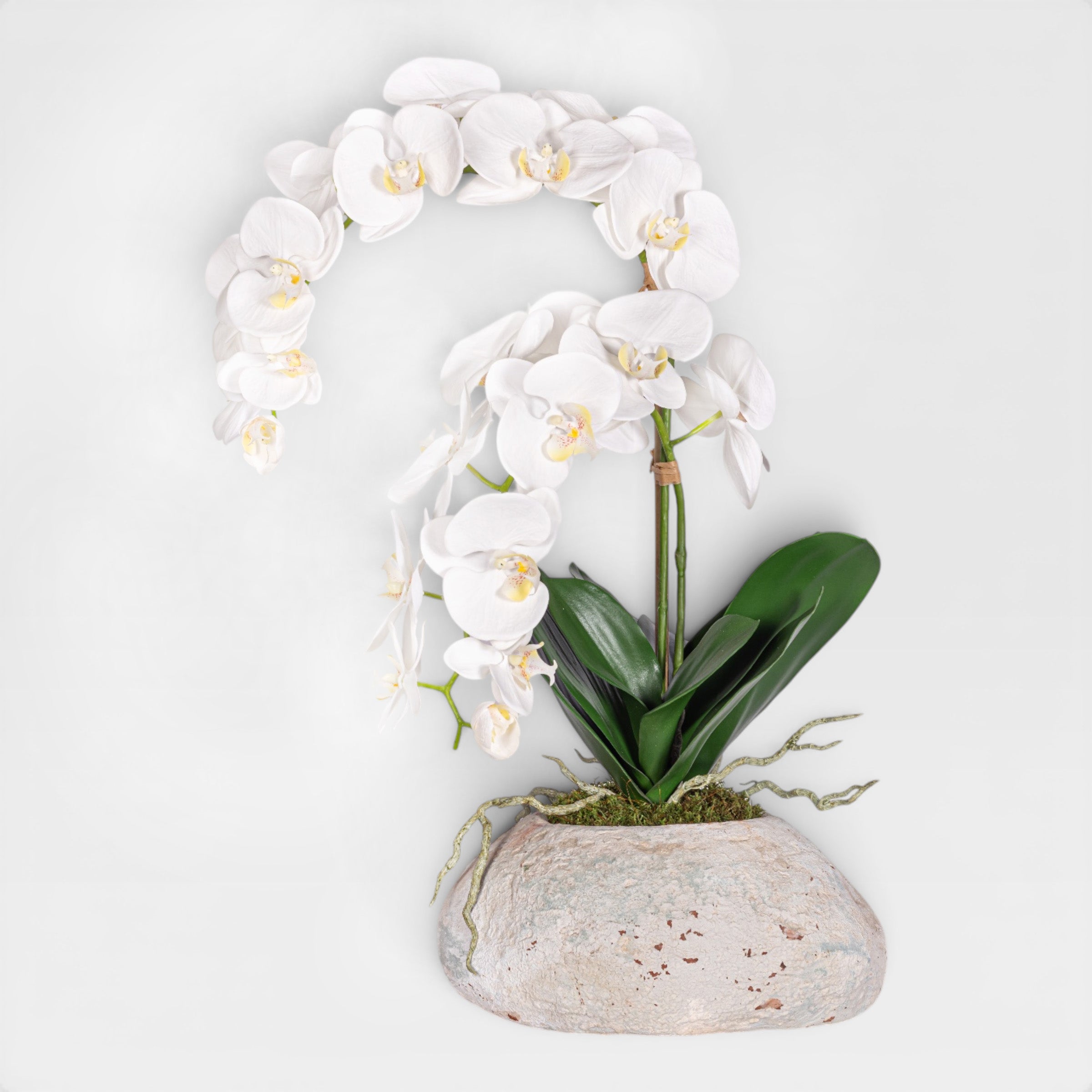 20" Skye Pot with Orchid Arrangement AR1958