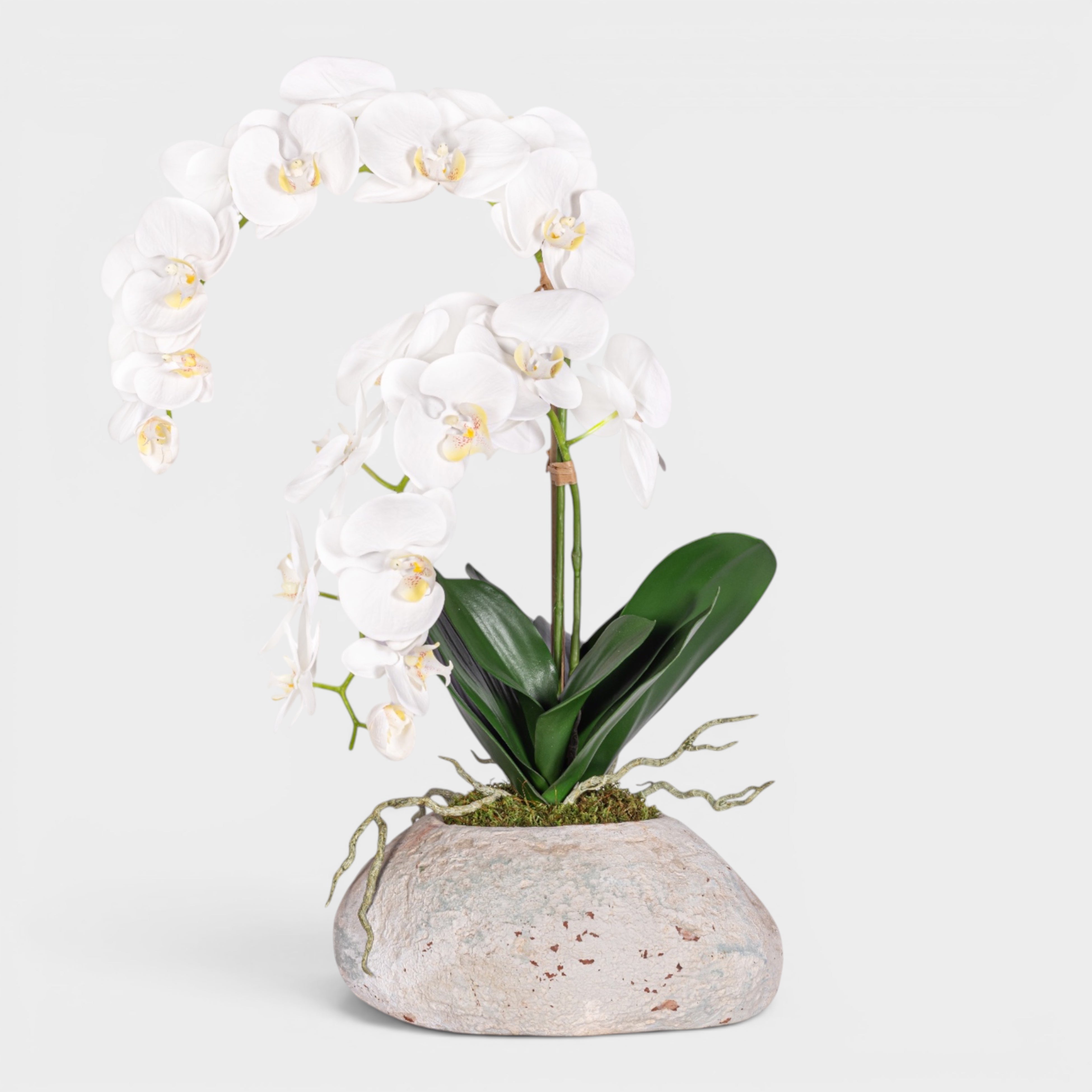 20" Skye Pot with Orchid Arrangement AR1958