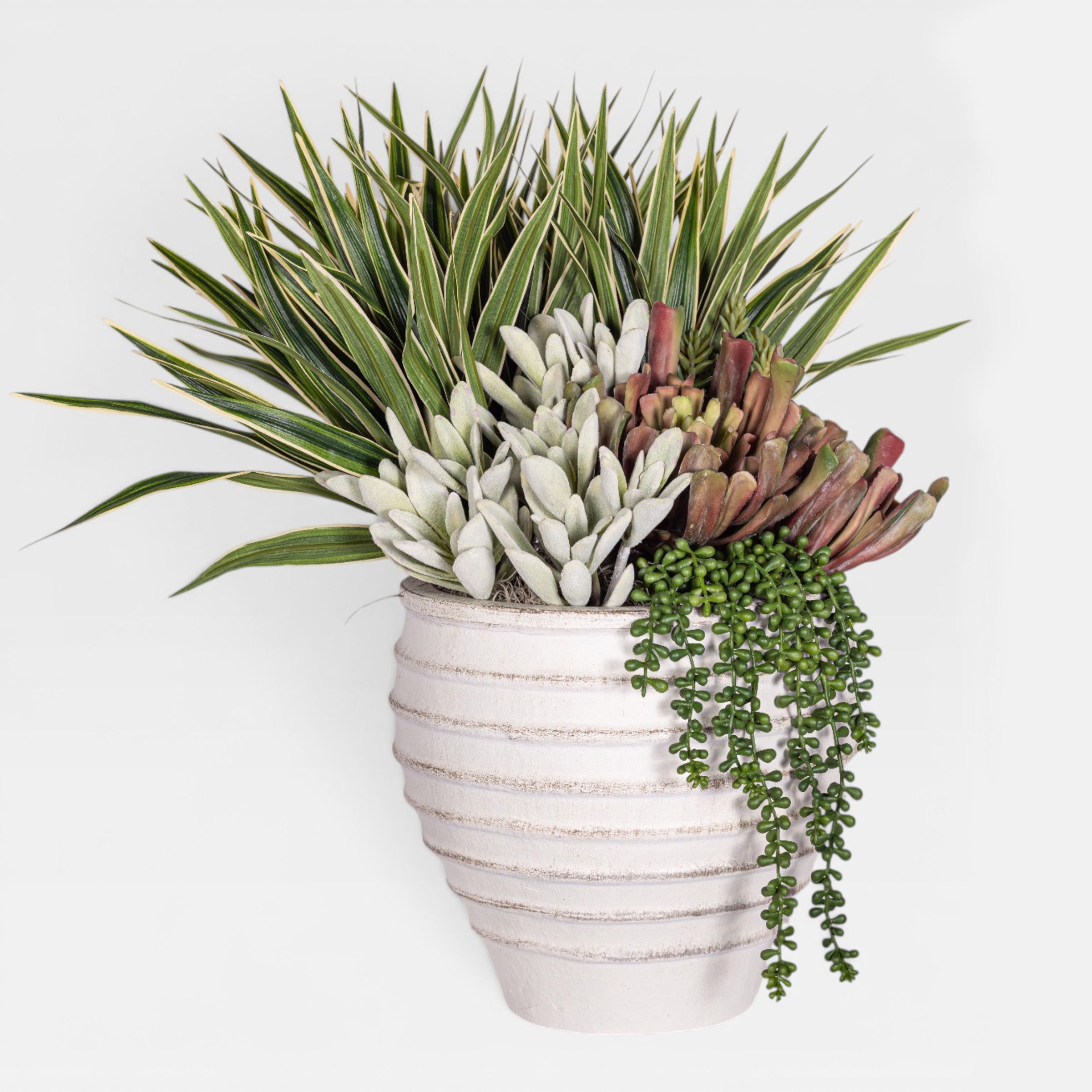 Roma Pot with Succulent Arrangement AR1959