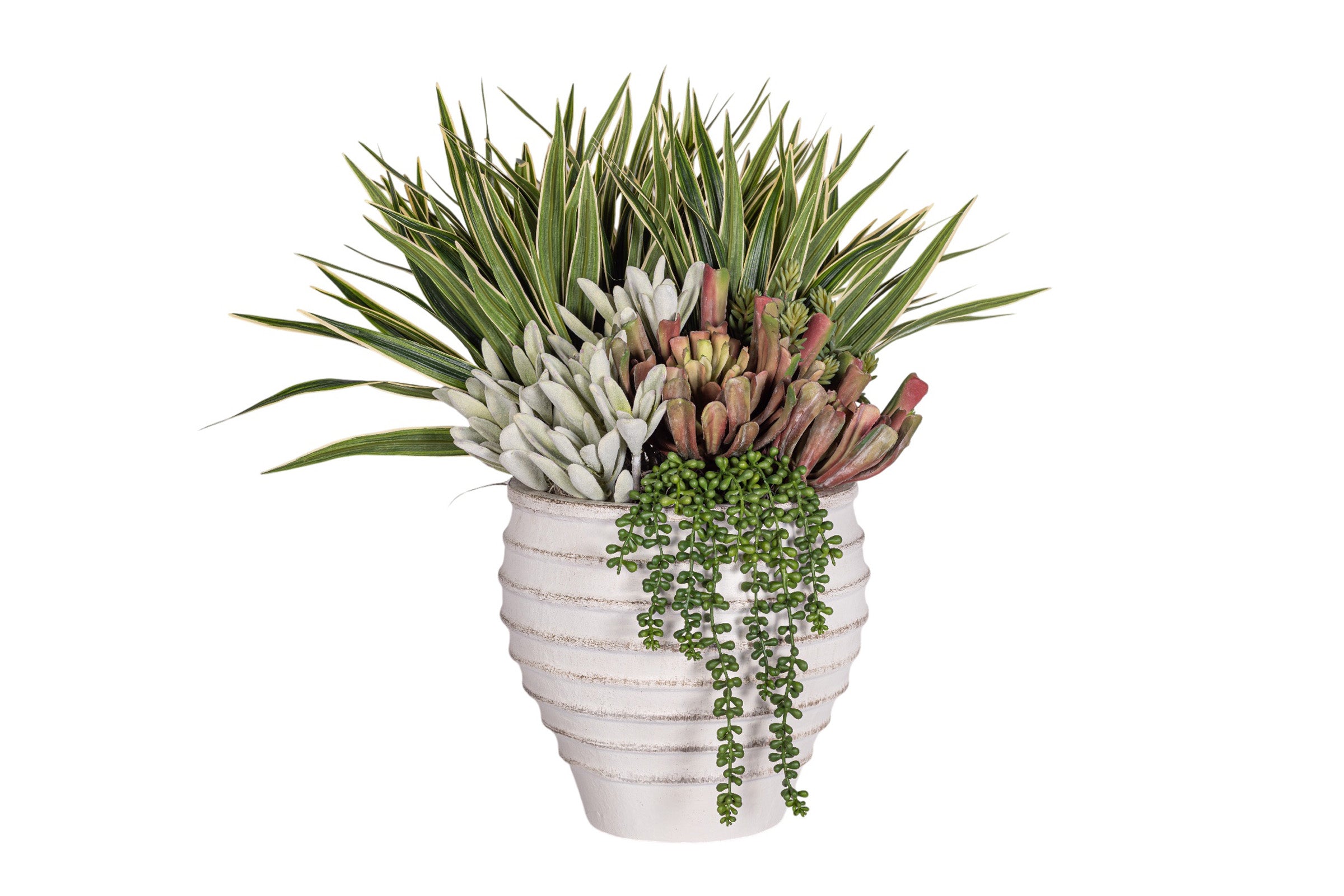 Roma Pot with Succulent Arrangement AR1959