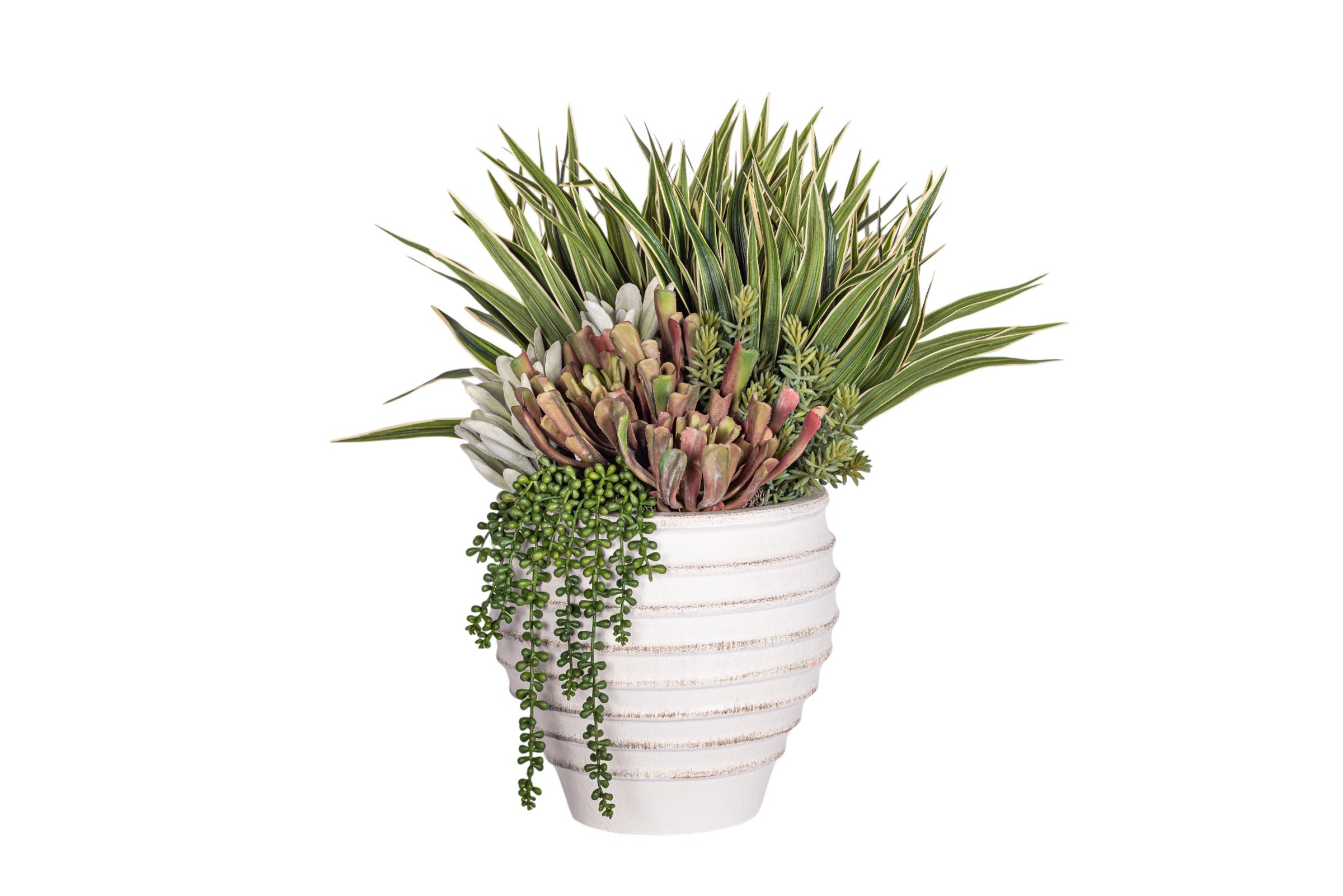 Roma Pot with Succulent Arrangement AR1959