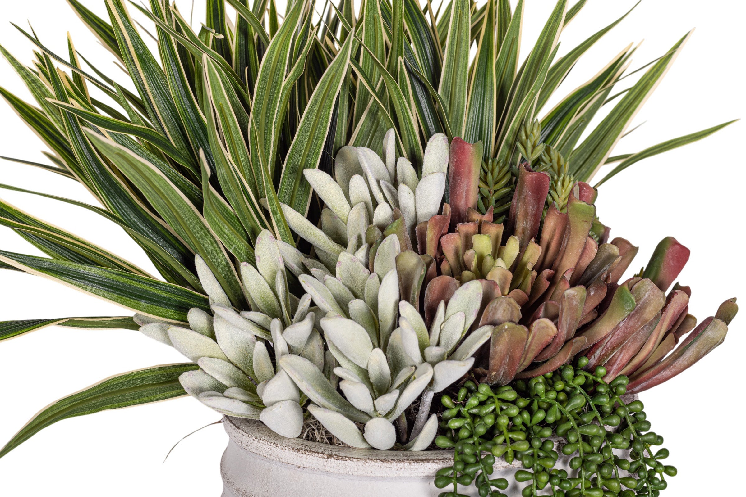 Roma Pot with Succulent Arrangement AR1959