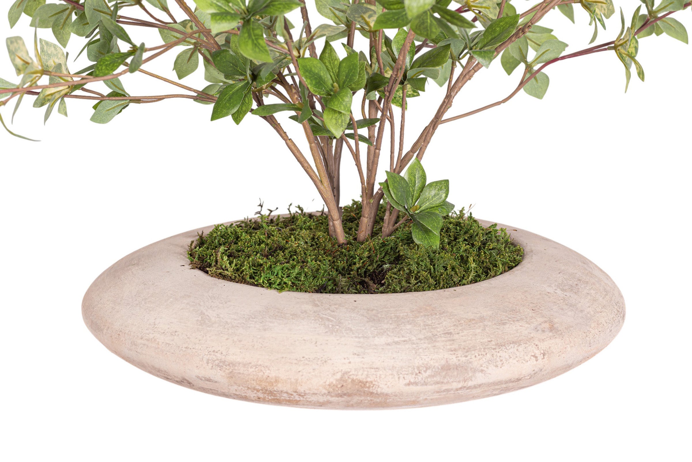 29" Flying Saucer with Greenery Arrangement AR1962