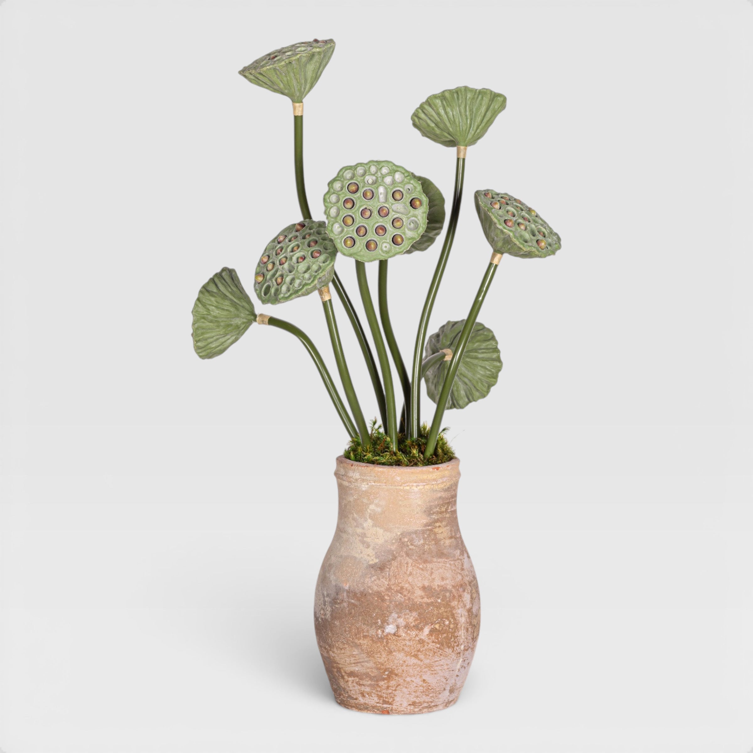 Rue Vase with Lotus Seed Arrangement AR1963