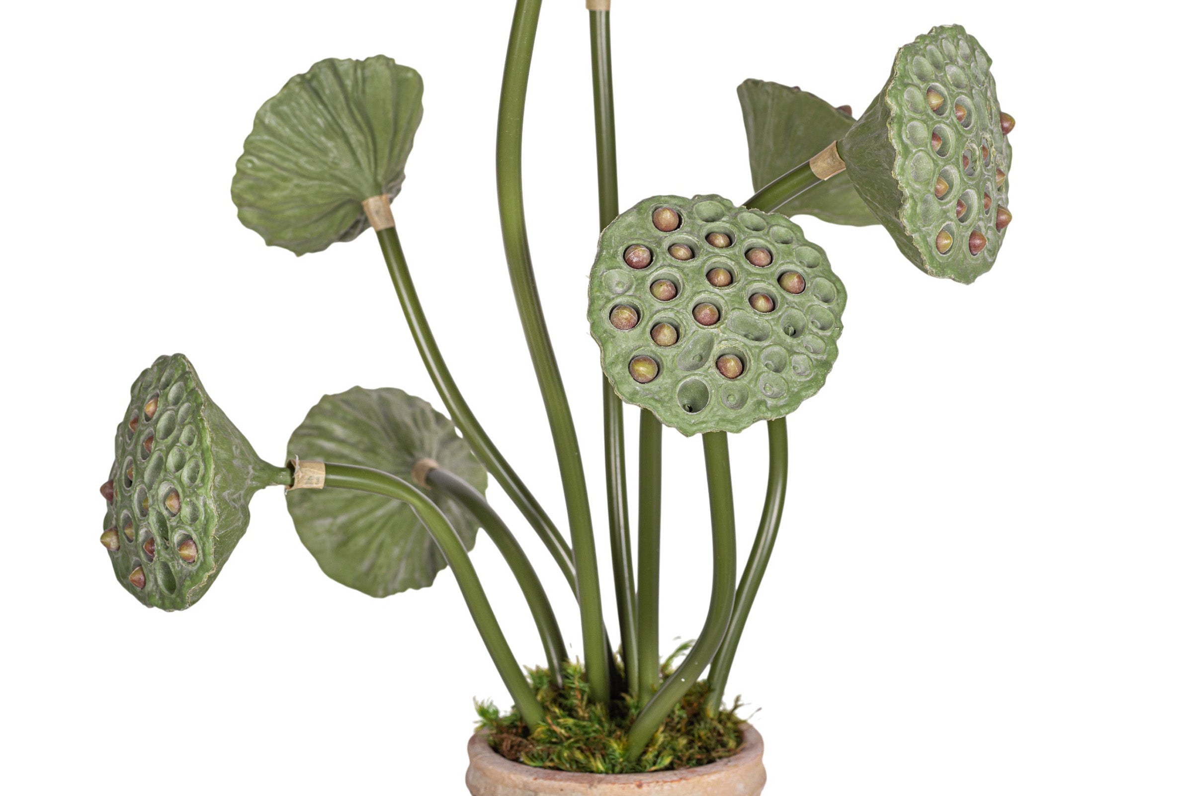 Rue Vase with Lotus Seed Arrangement AR1963