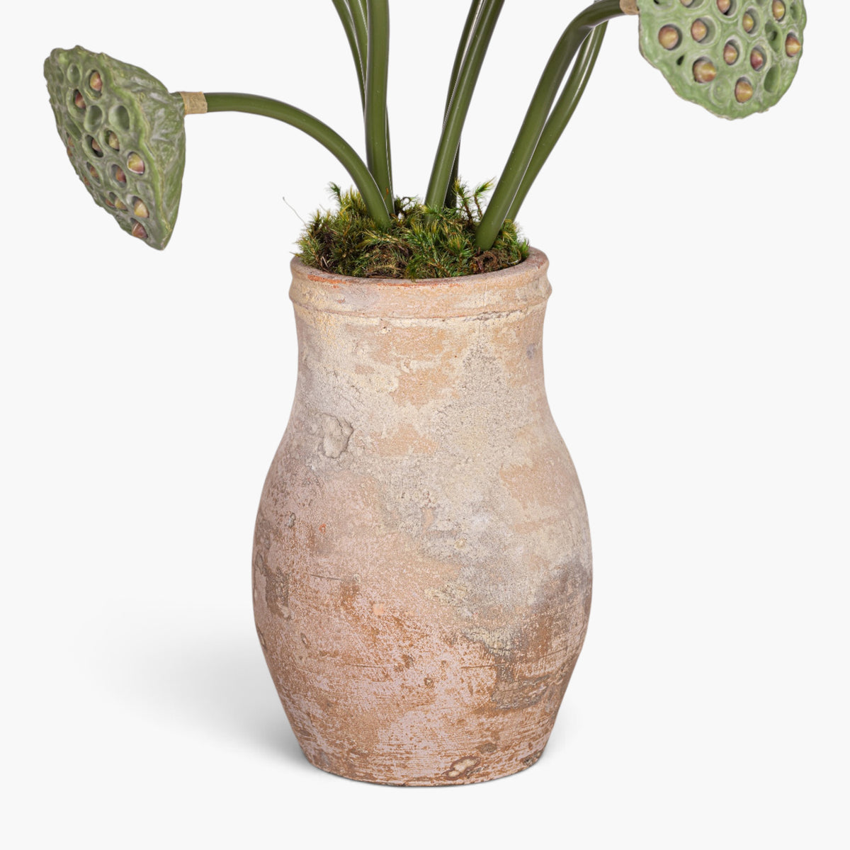 Rue Vase with Lotus Seed Arrangement AR1963