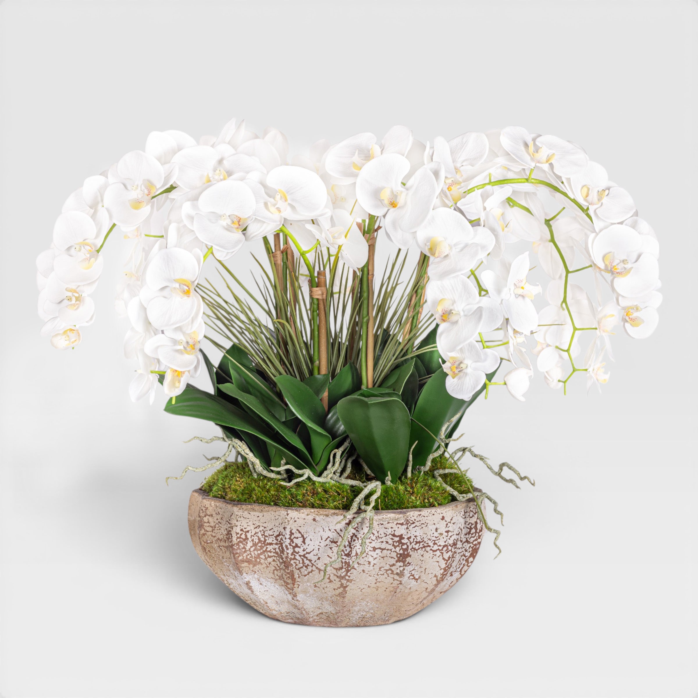 30" Ansel Bowl with Orchid Arrangment AR1965