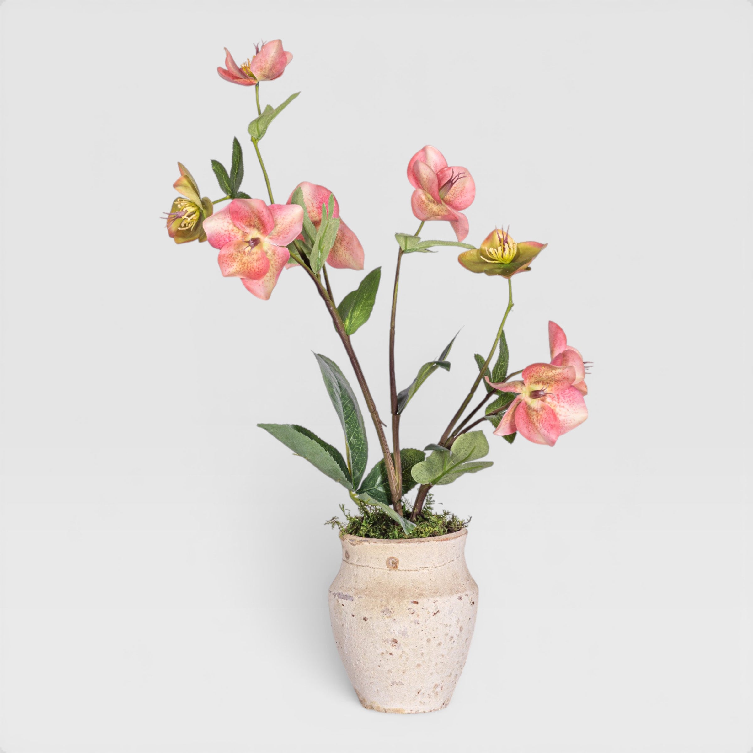 Titan Pot with Orchid Arrangement AR1967