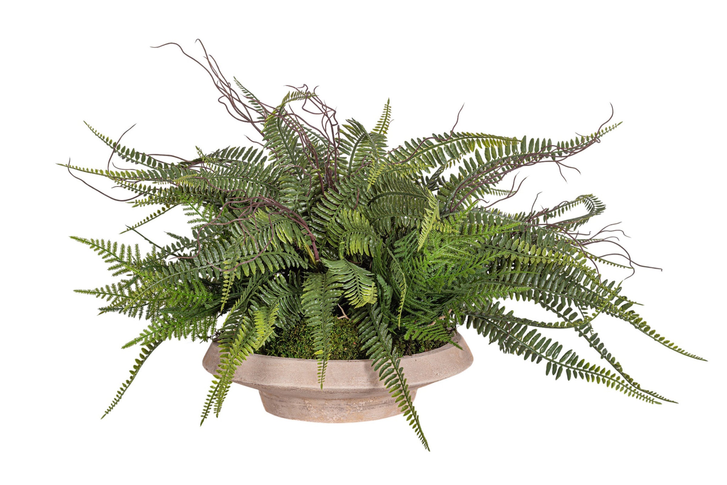 Sayulita Saucer with UV Fern Arrangement AR1969
