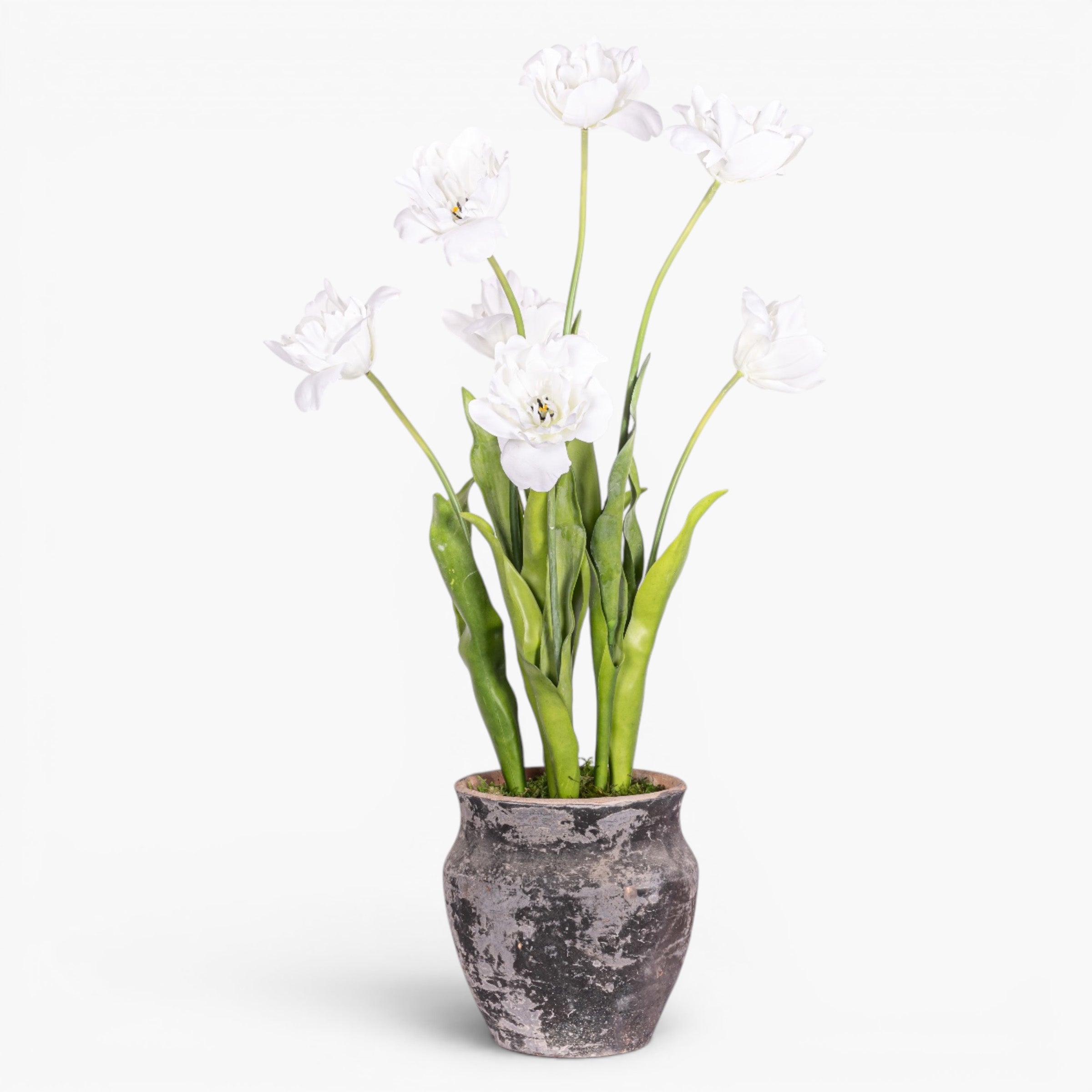 19" Titan Pot with Tulip Arrangement AR1974