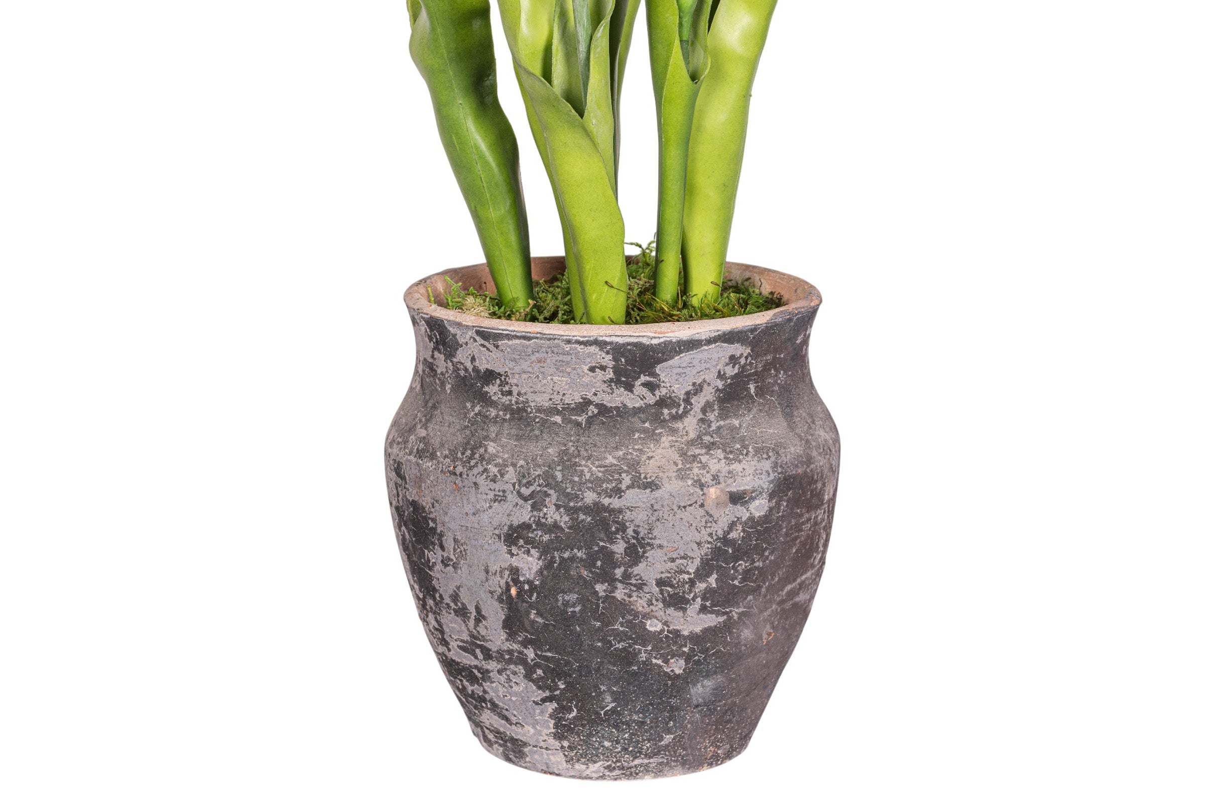 19" Titan Pot with Tulip Arrangement AR1974