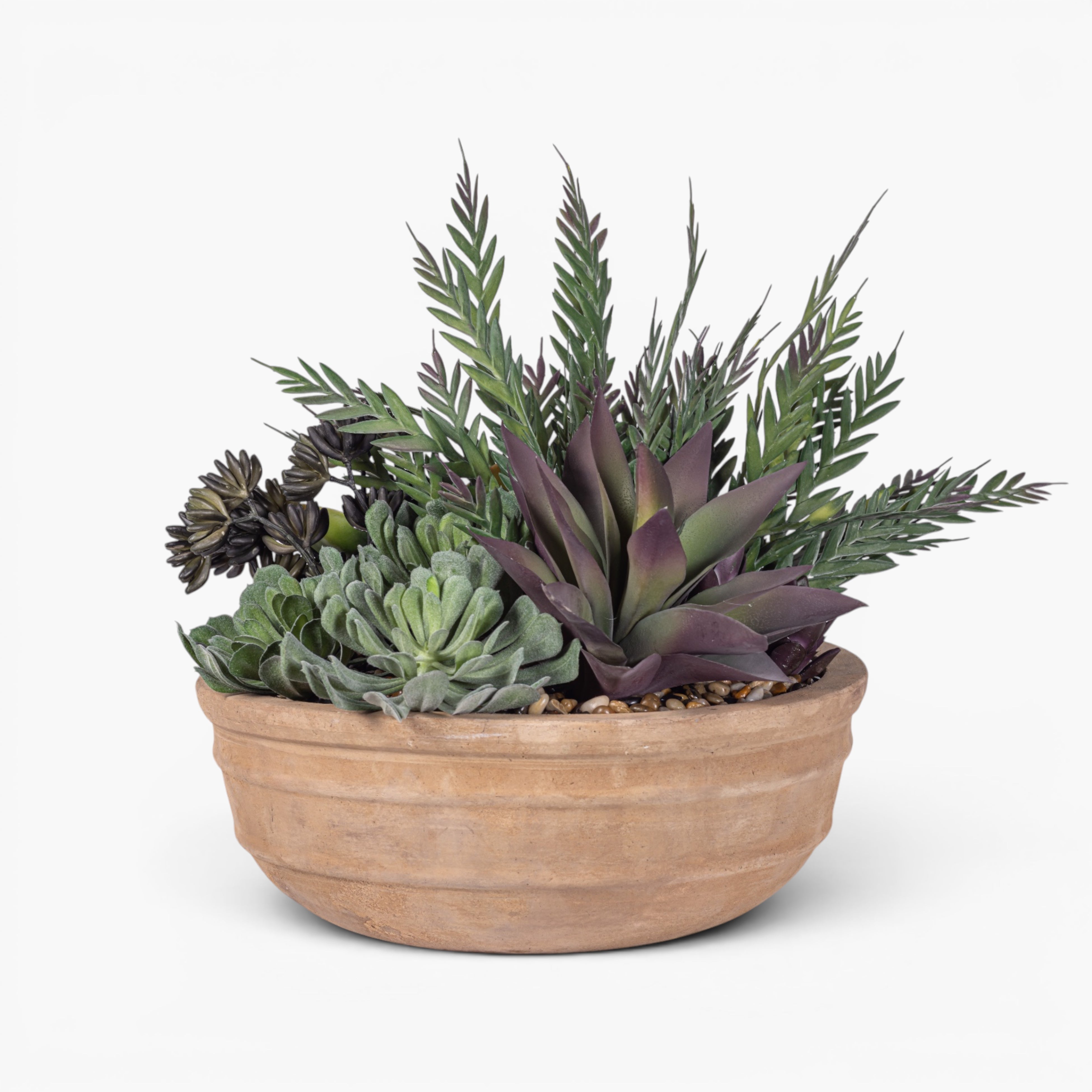 Suri Bowl with Mixed Succulent Arrangement AR1976