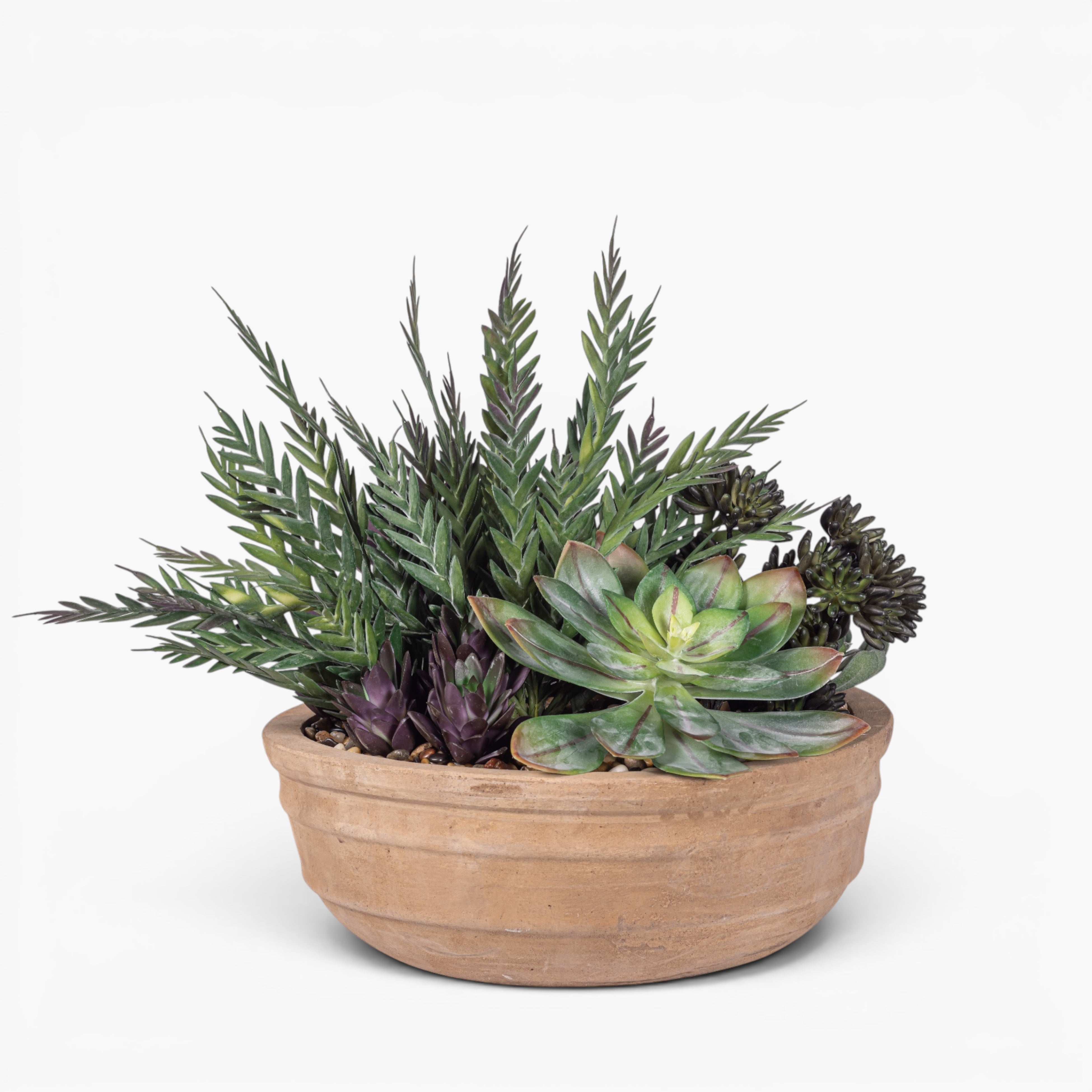 Suri Bowl with Mixed Succulent Arrangement AR1976