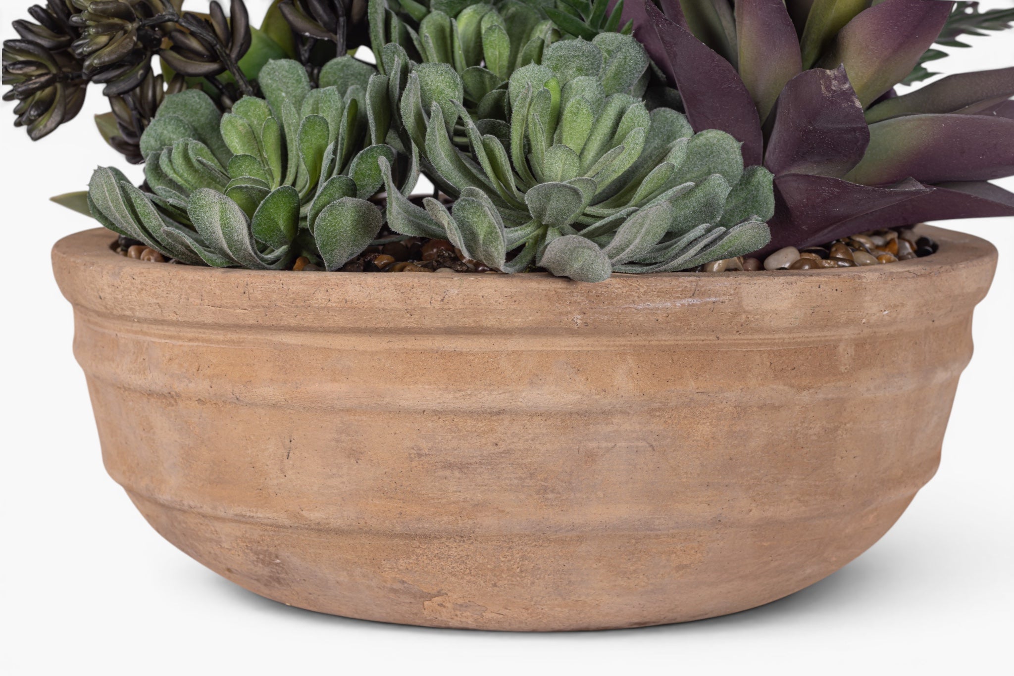 Suri Bowl with Mixed Succulent Arrangement AR1976
