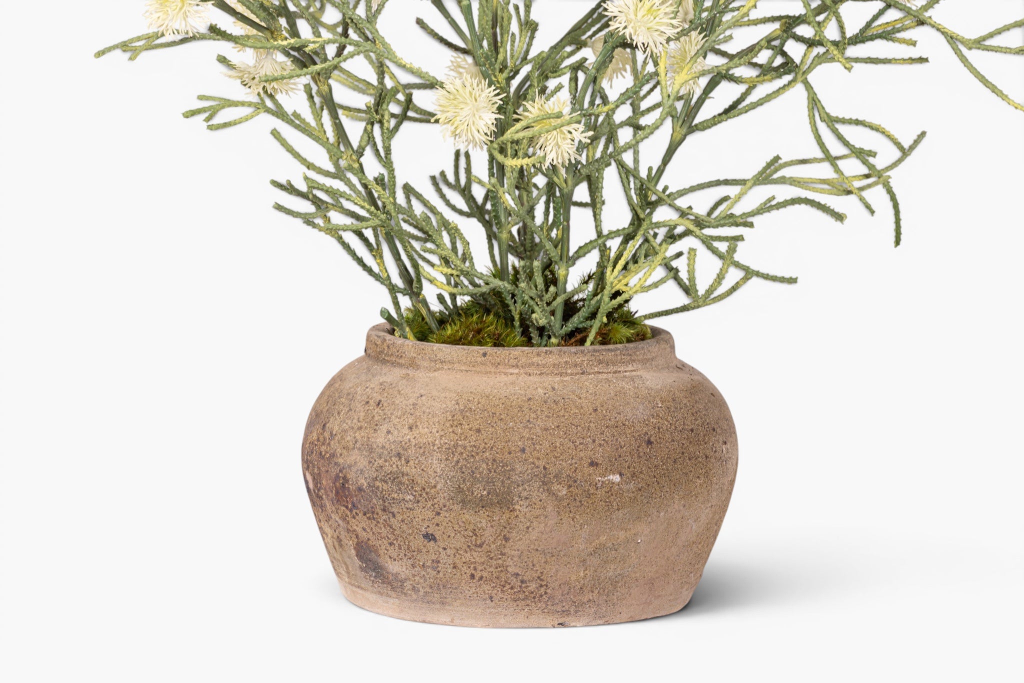 Esther Pot with Spider Flower Arrangement AR1979