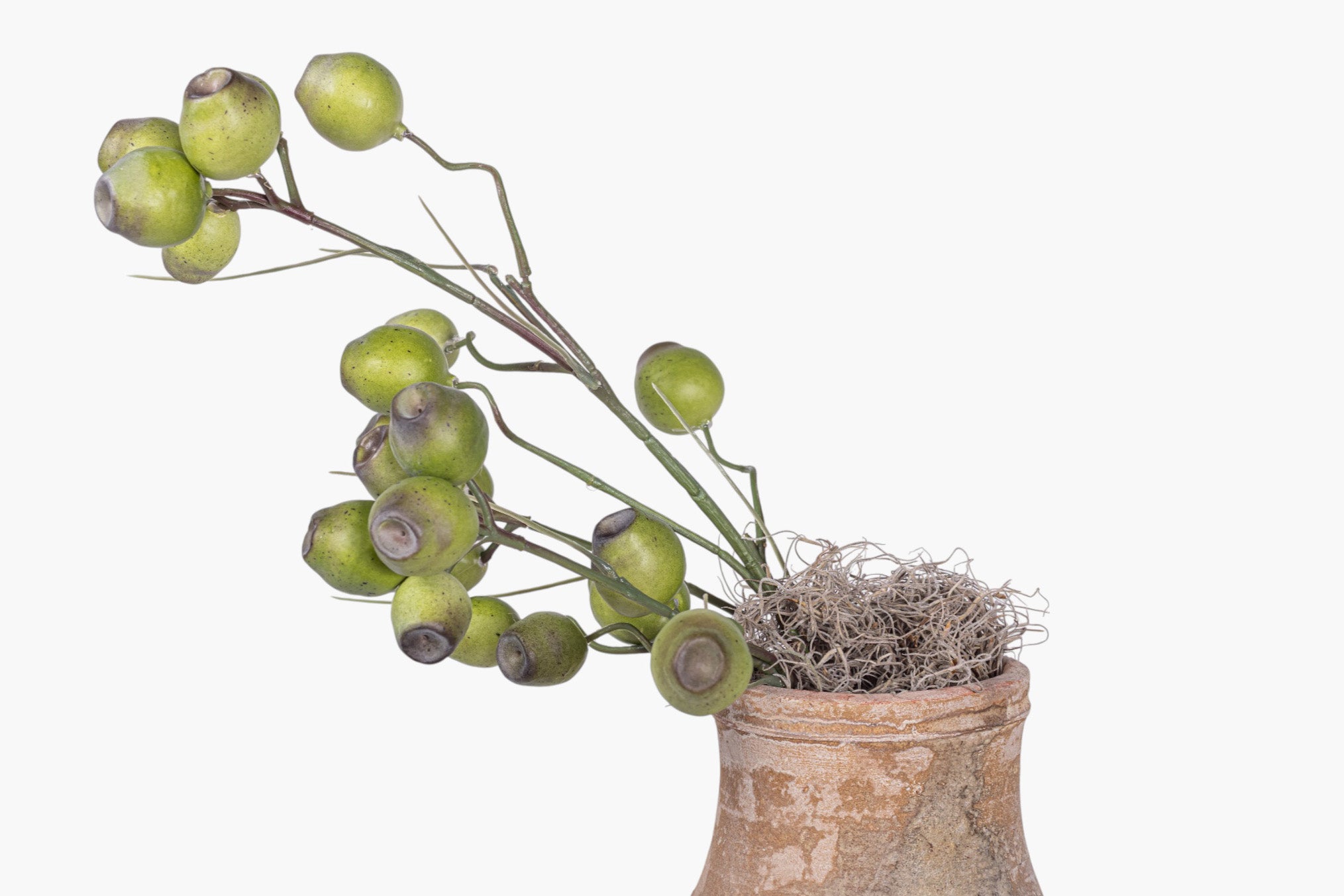 Rue Vase with Eucalyptus Seed Arrangement AR1984