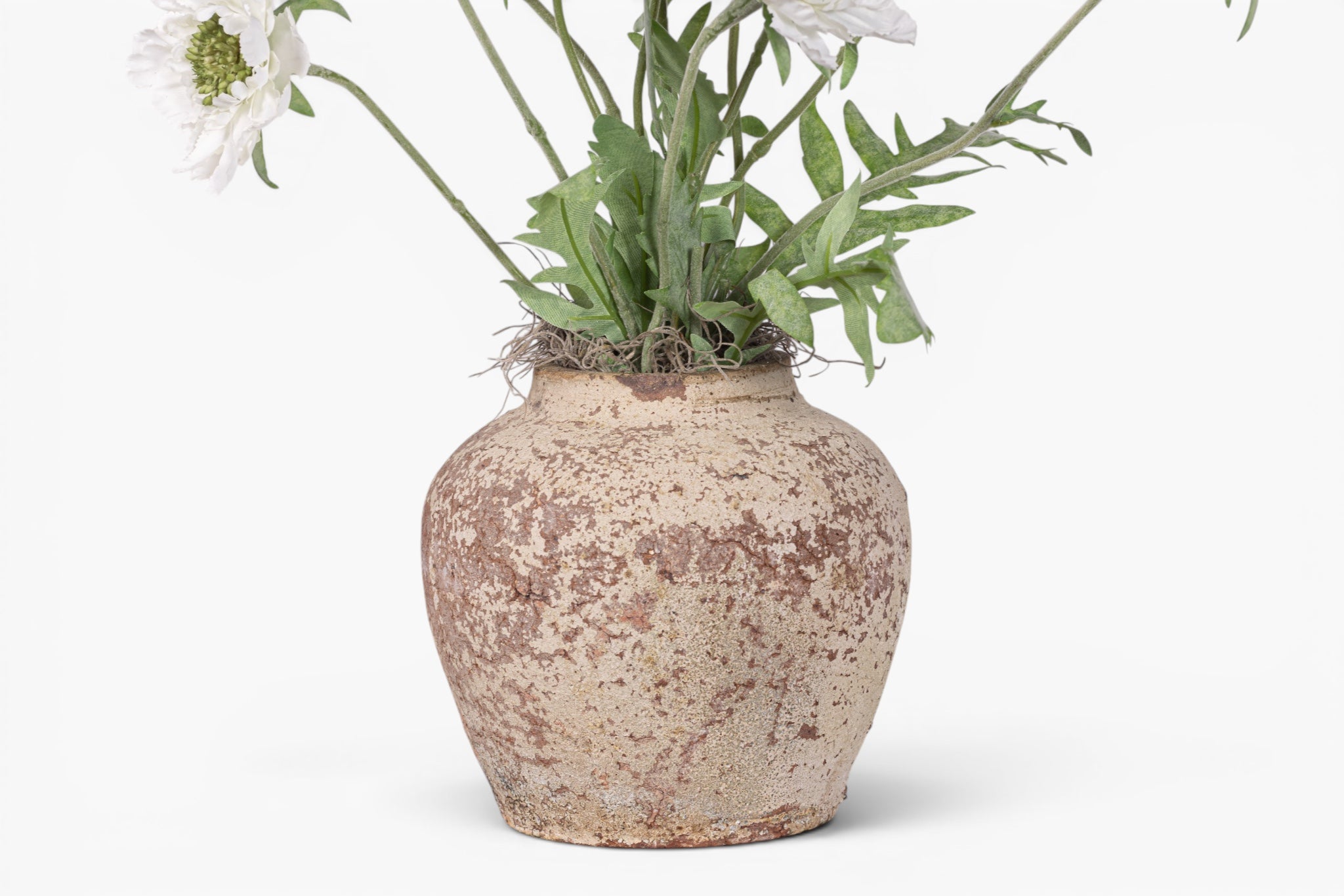 Haley Pot with Scabiosa Floral Arrangement AR1990