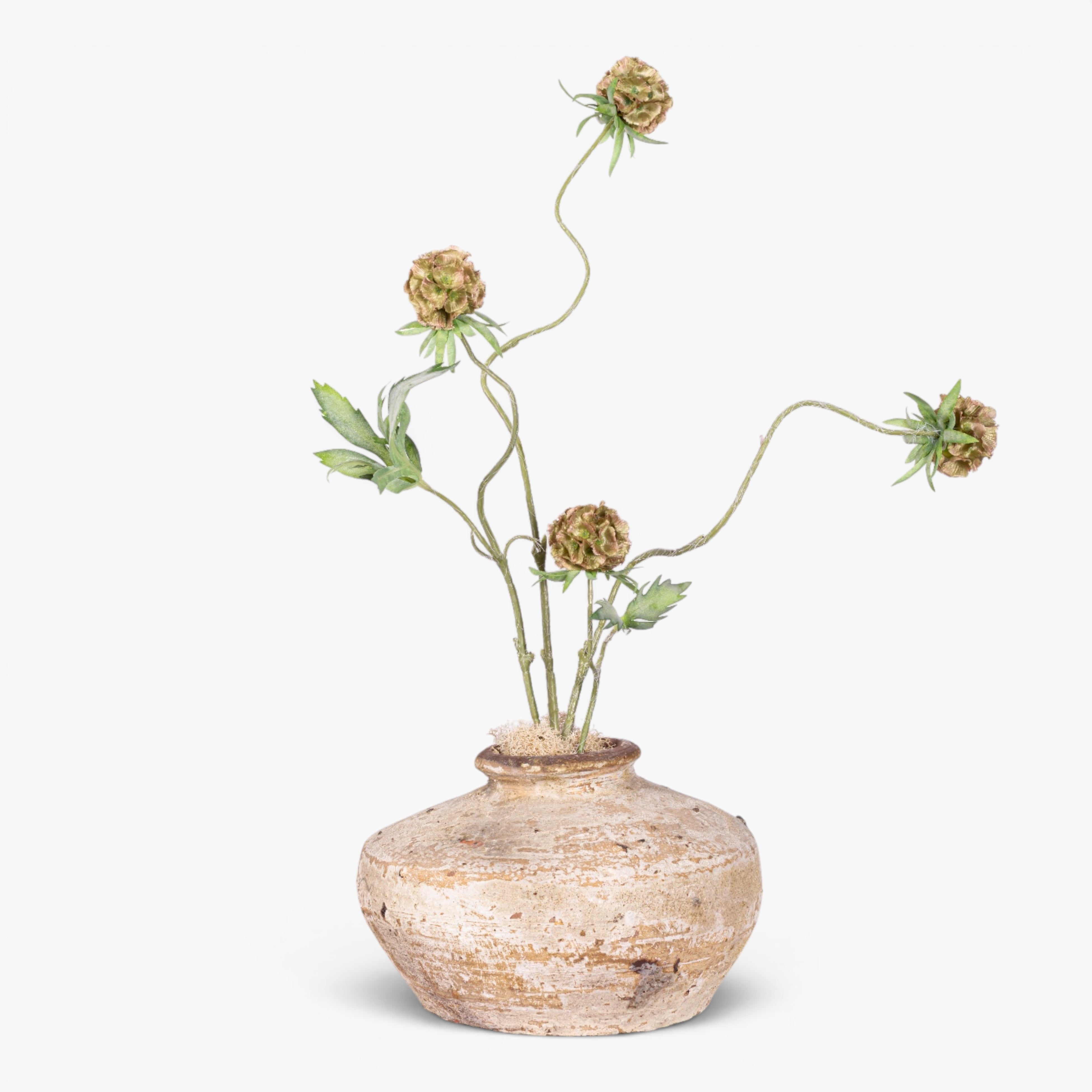 13" Loen Pot with Scabiosa Stem Arrangement AR1993